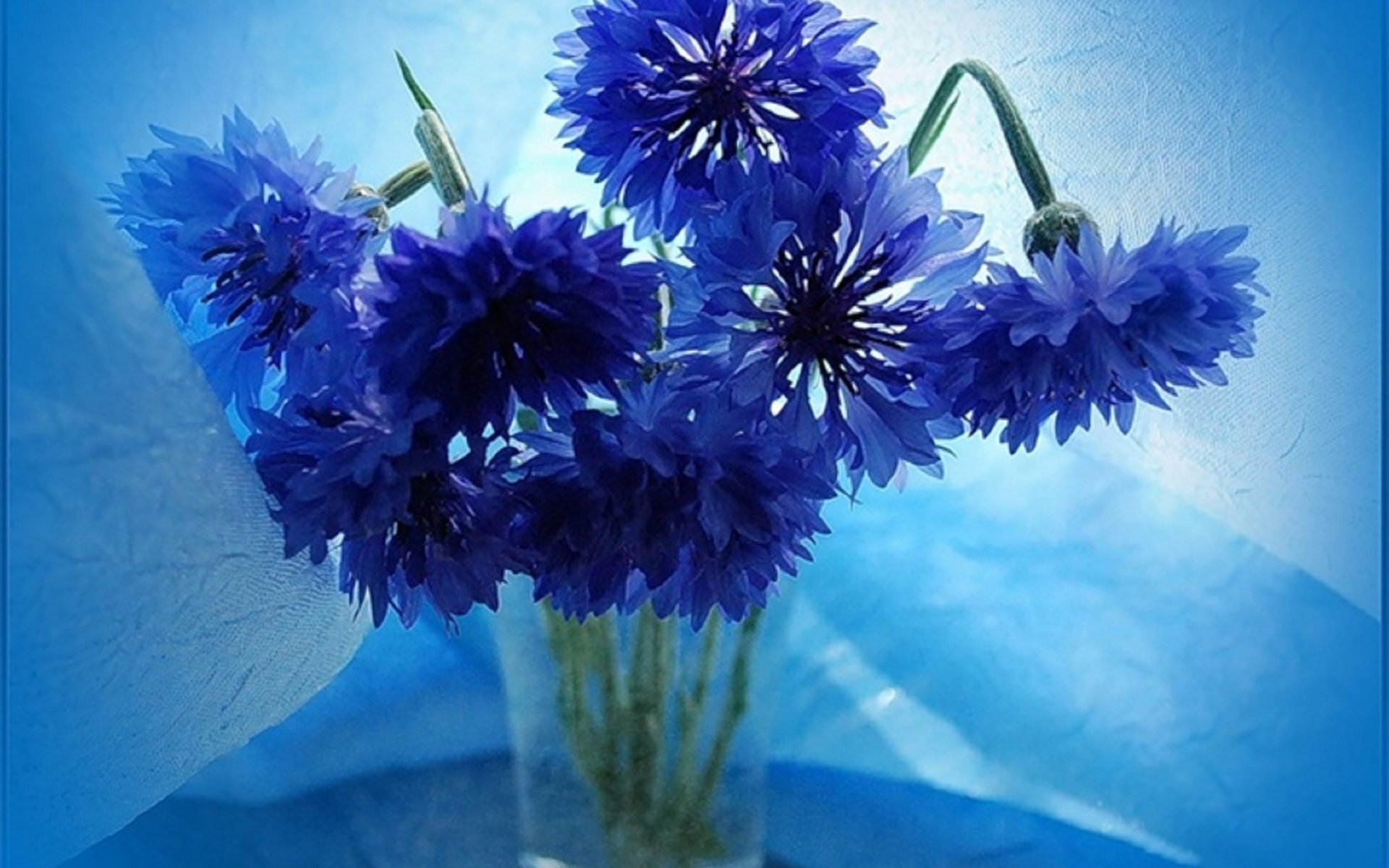 Обои цветы, ваза, букет васильков, flowers, vase, bouquet of cornflowers разрешение 1920x1661 Загрузить