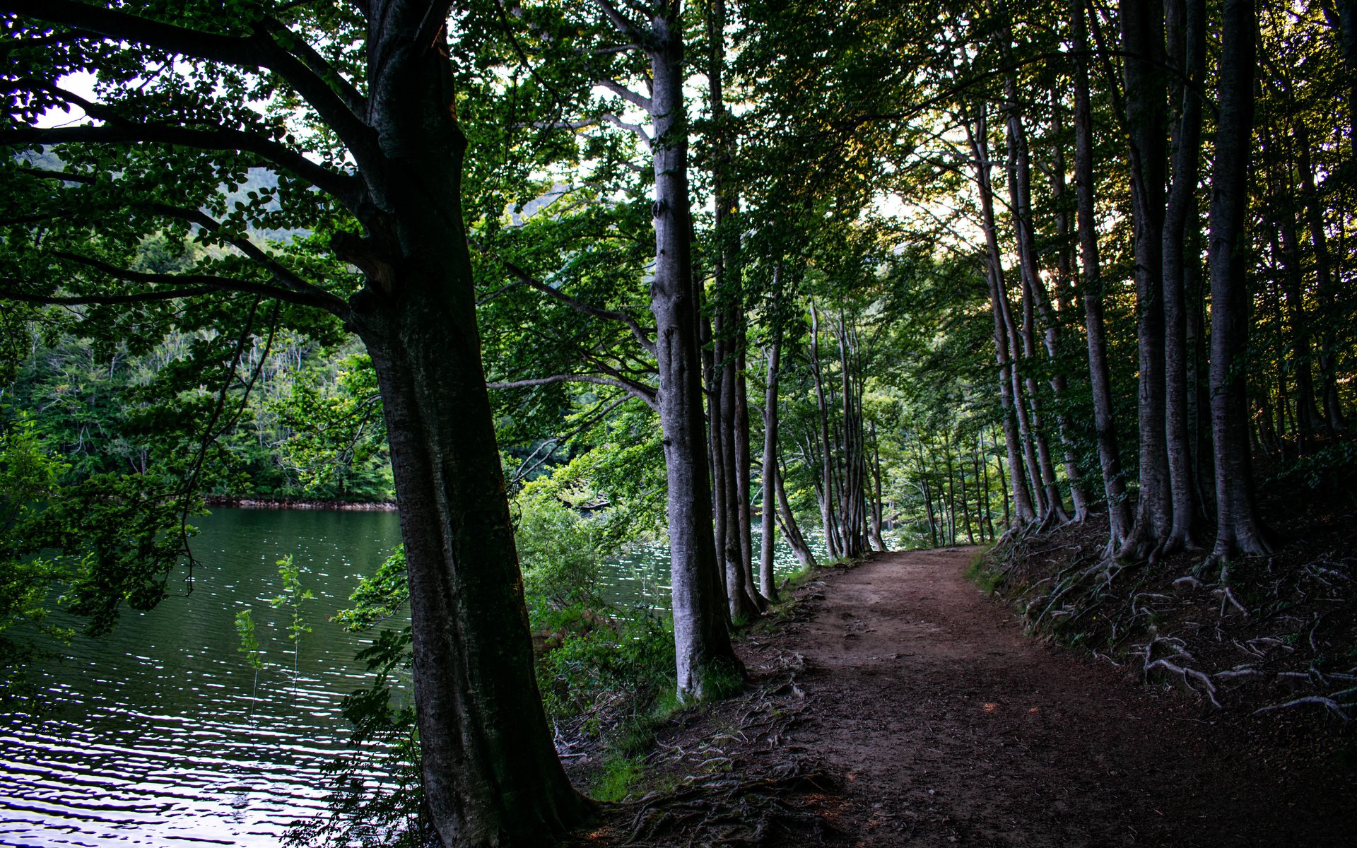 Обои montseny
catalunya, montseny
catalunya разрешение 6000x4000 Загрузить