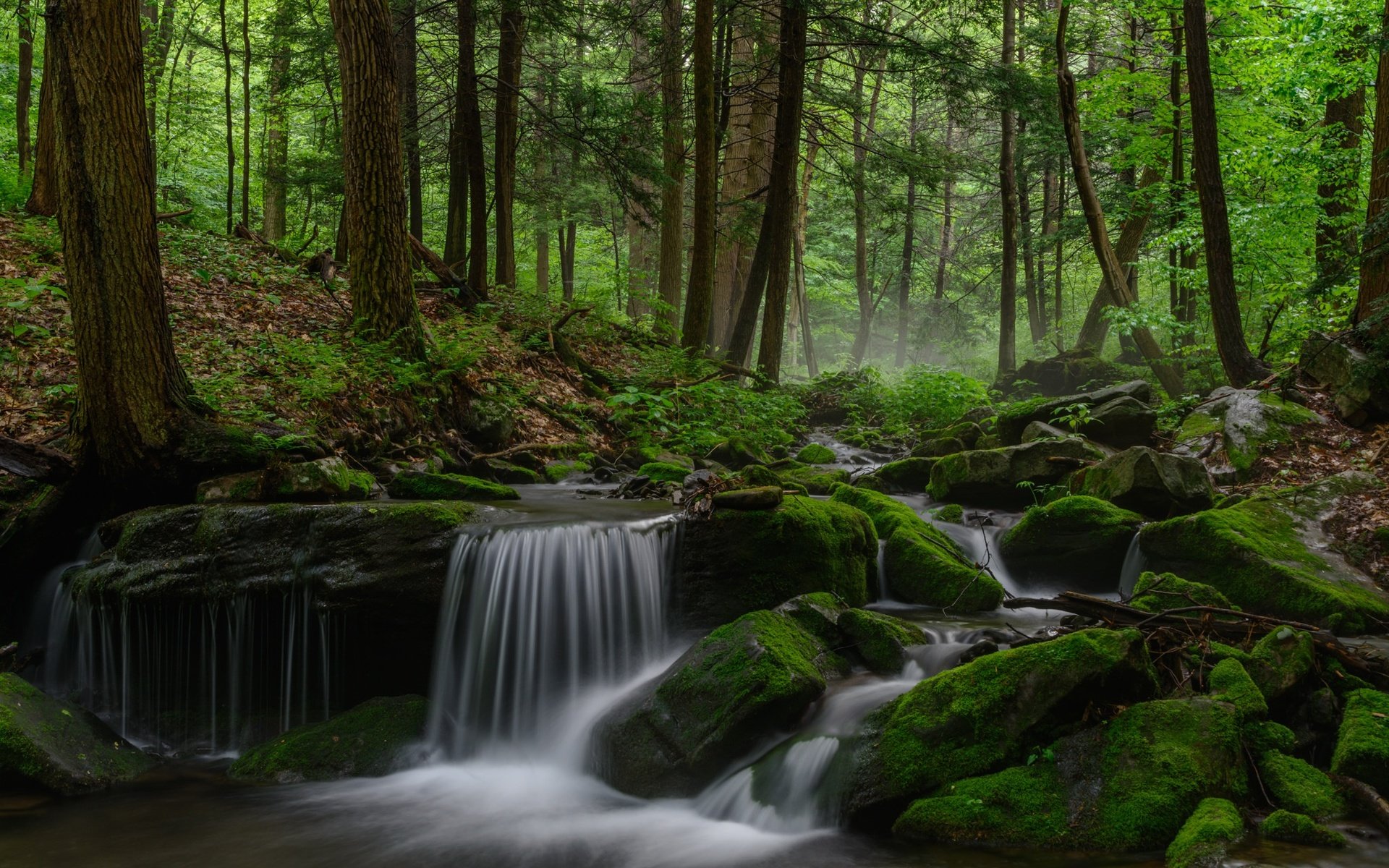 Обои деревья, река, природа, лес, водопад, мох, trees, river, nature, forest, waterfall, moss разрешение 2048x1365 Загрузить