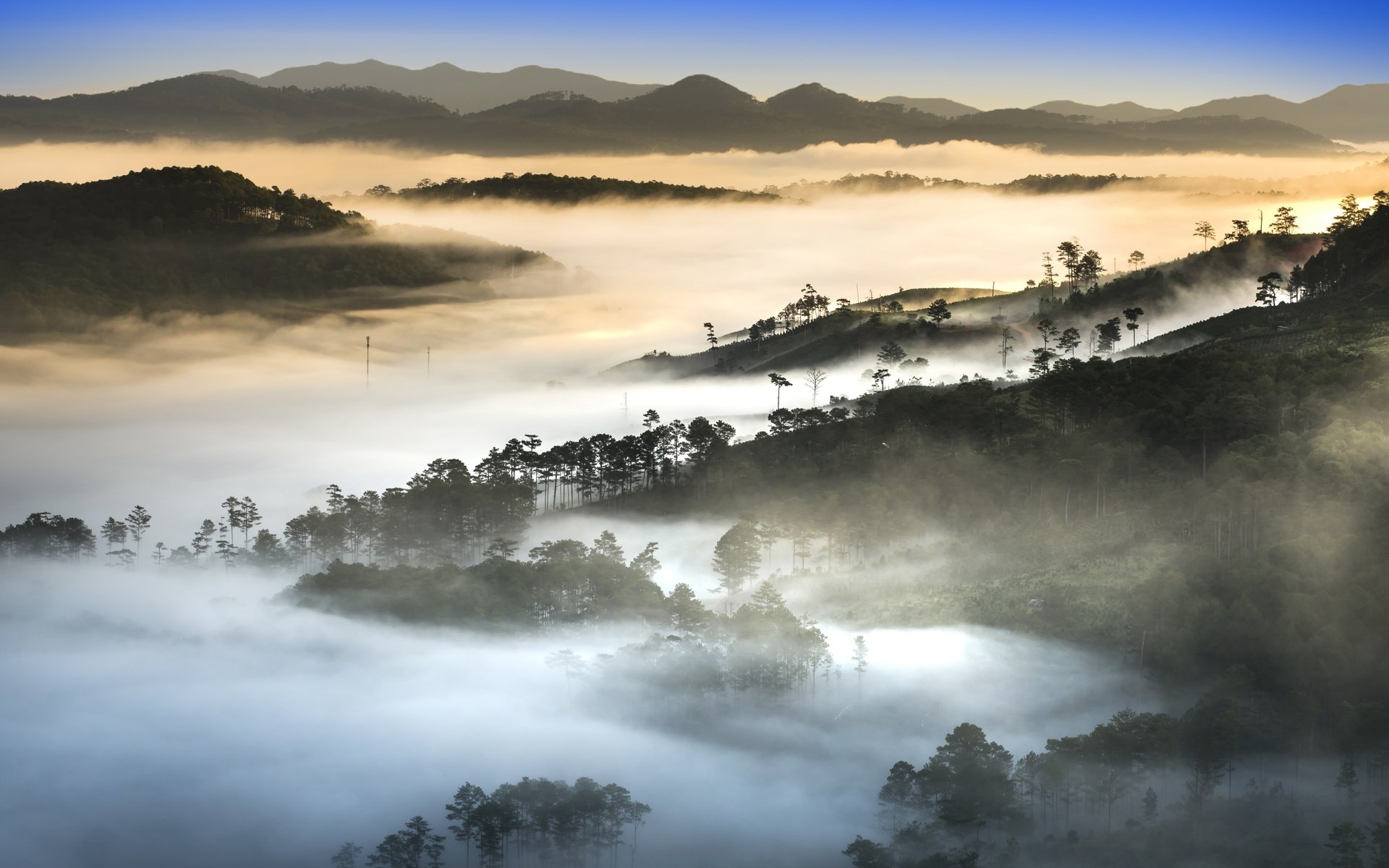 Обои деревья, холмы, природа, утро, туман, вьетнам, trees, hills, nature, morning, fog, vietnam разрешение 7680x4262 Загрузить
