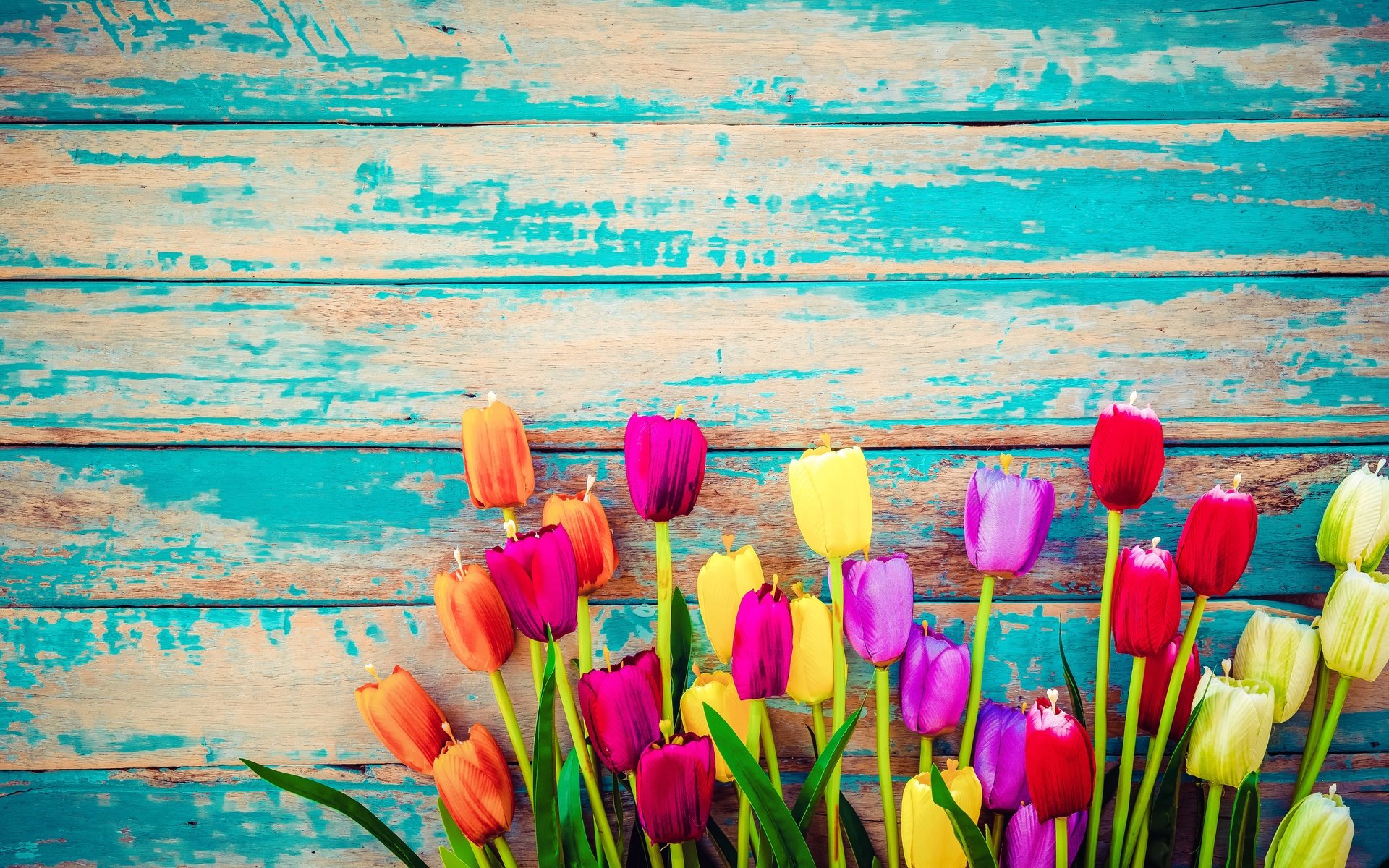 Обои доски, тюльпаны, board, tulips разрешение 6205x4136 Загрузить