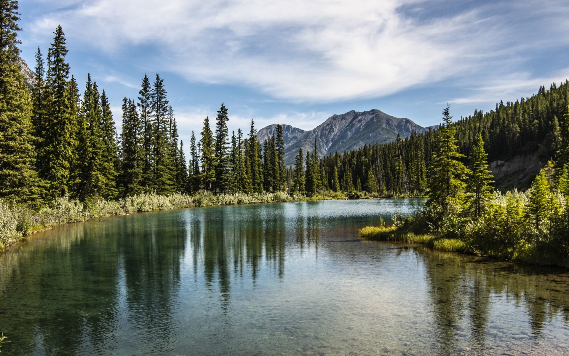 Обои деревья, озеро, горы, лес, вершины, trees, lake, mountains, forest, tops разрешение 3840x2160 Загрузить