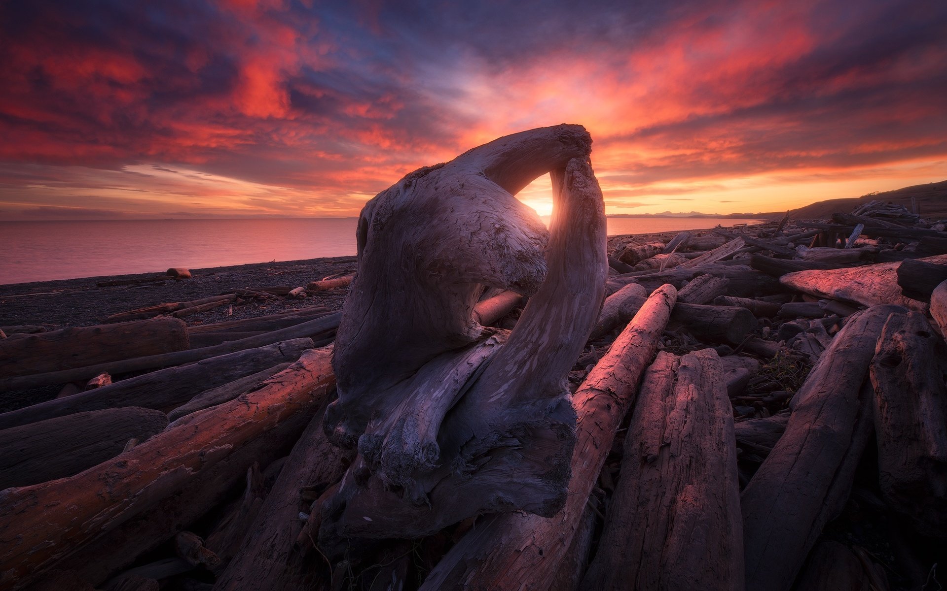 Обои берег, закат, море, коряга, shore, sunset, sea, snag разрешение 2048x1373 Загрузить