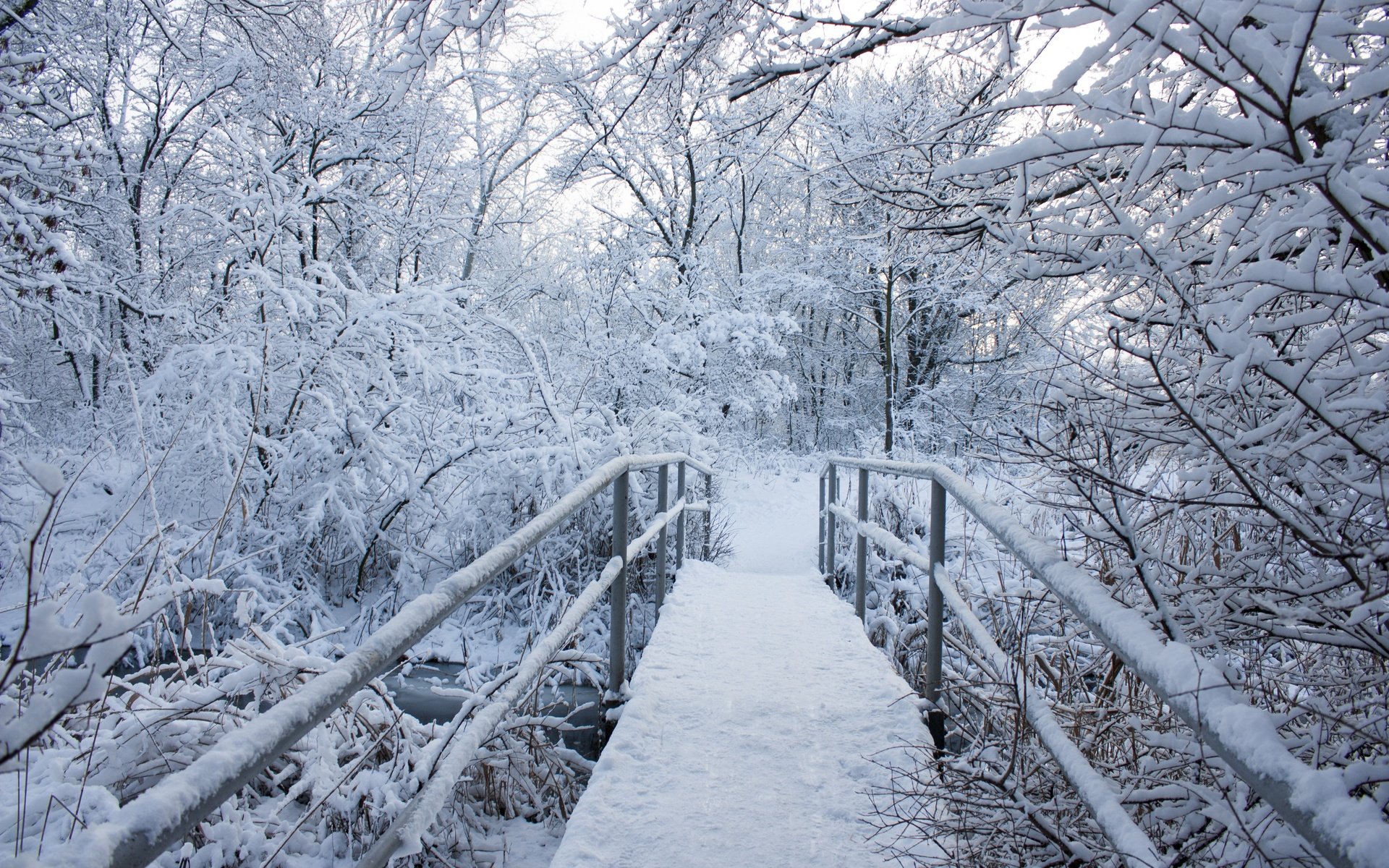 Обои деревья, снег, природа, зима, пейзаж, мост, trees, snow, nature, winter, landscape, bridge разрешение 4272x2848 Загрузить