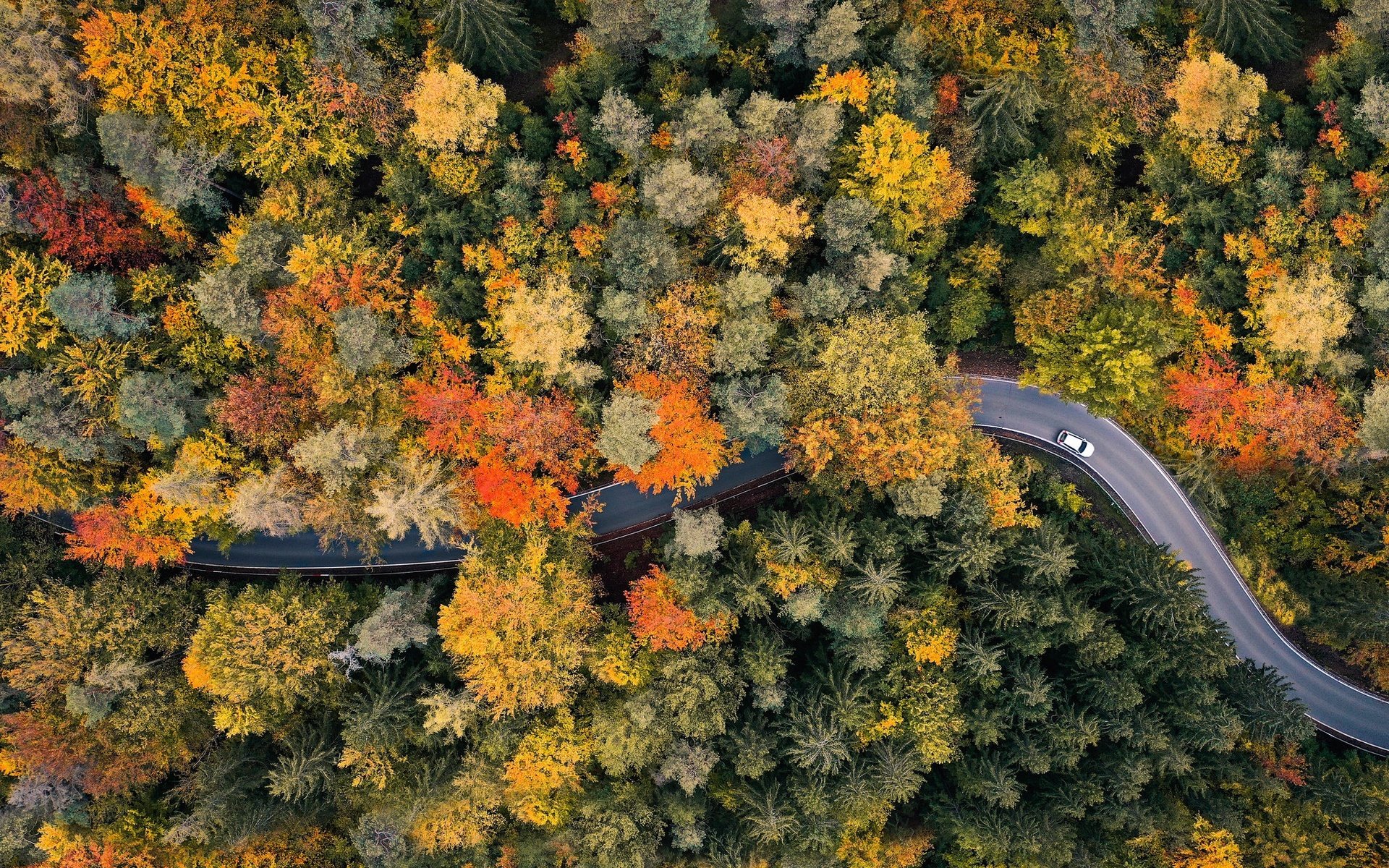 Обои дорога, лес, осень, road, forest, autumn разрешение 2048x1365 Загрузить