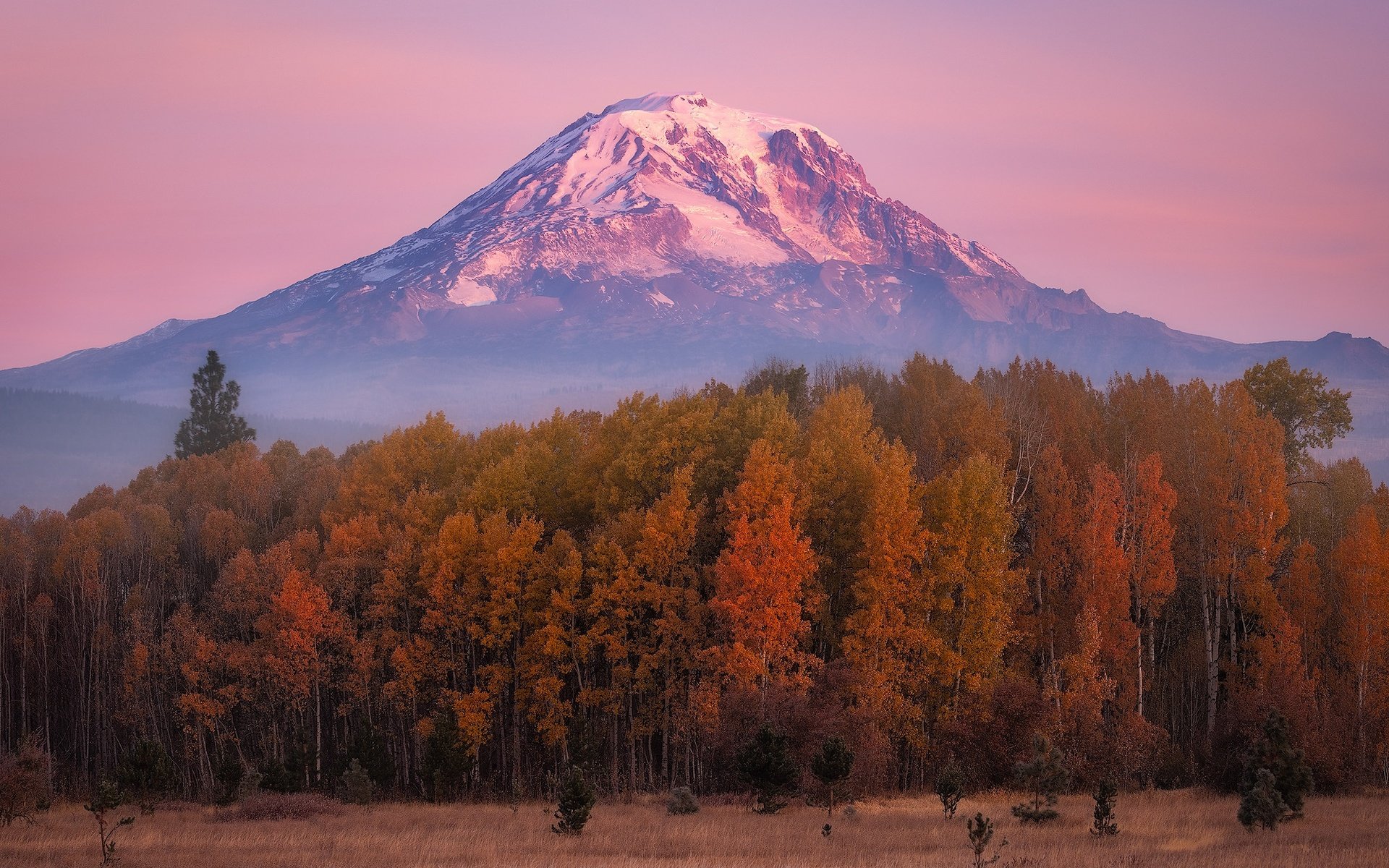 Обои лес, гора, осень, forest, mountain, autumn разрешение 2000x1341 Загрузить