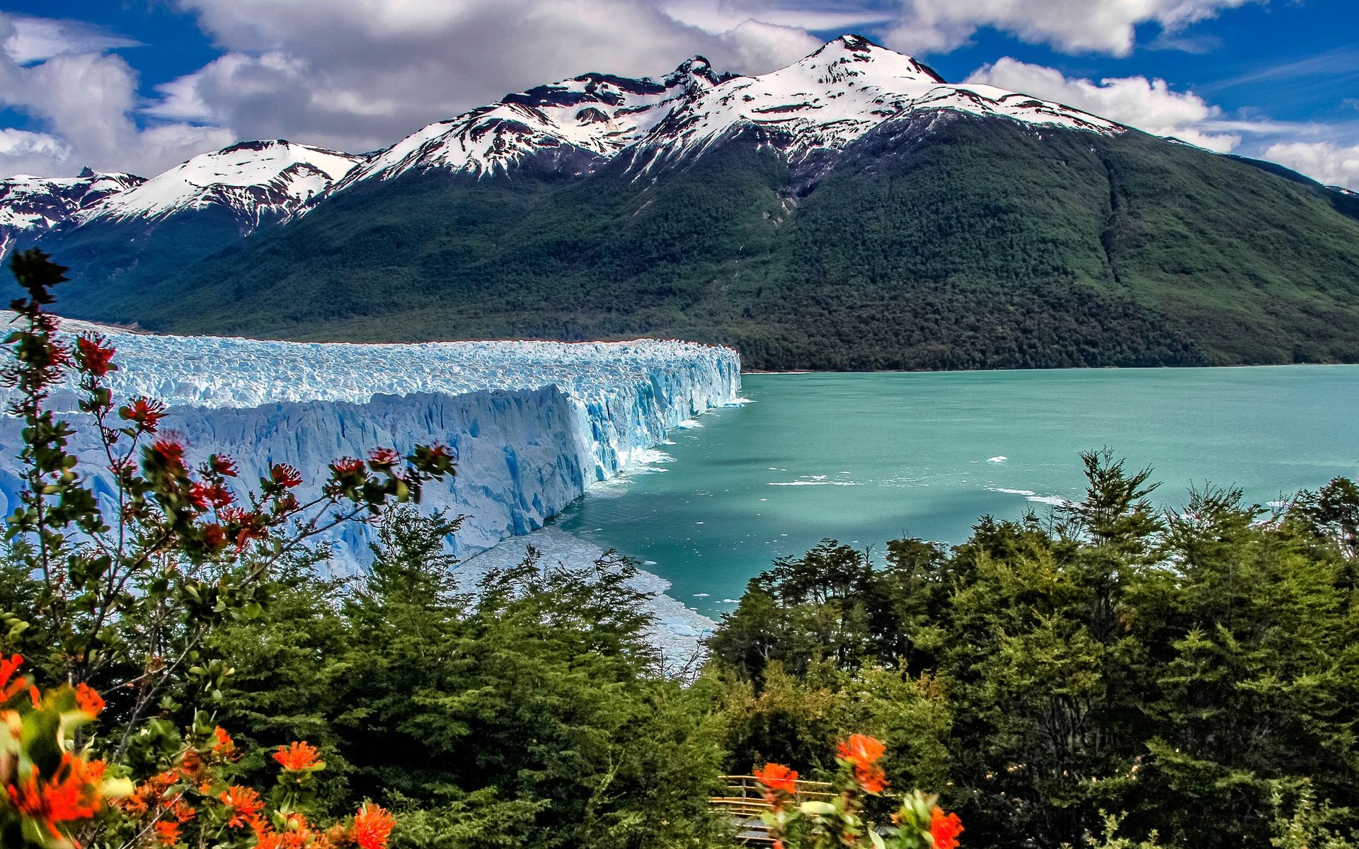 Обои озеро, горы, кусты, ледник, аргентина, анды, патагония, los glaciares national park, lake, mountains, the bushes, glacier, argentina, andes, patagonia разрешение 3200x1800 Загрузить