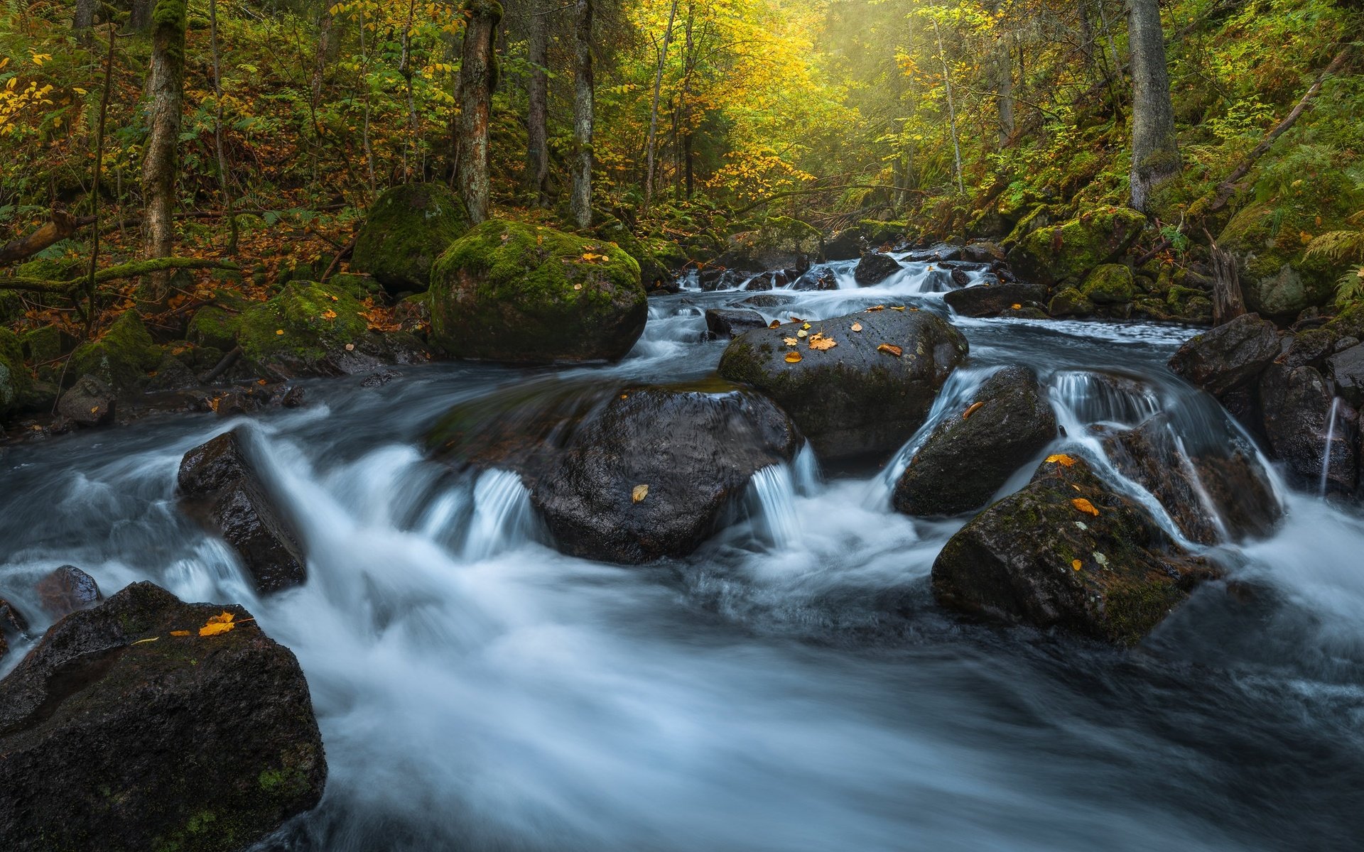 Обои река, камни, лес, осень, норвегия, каскад, river, stones, forest, autumn, norway, cascade разрешение 2048x1247 Загрузить