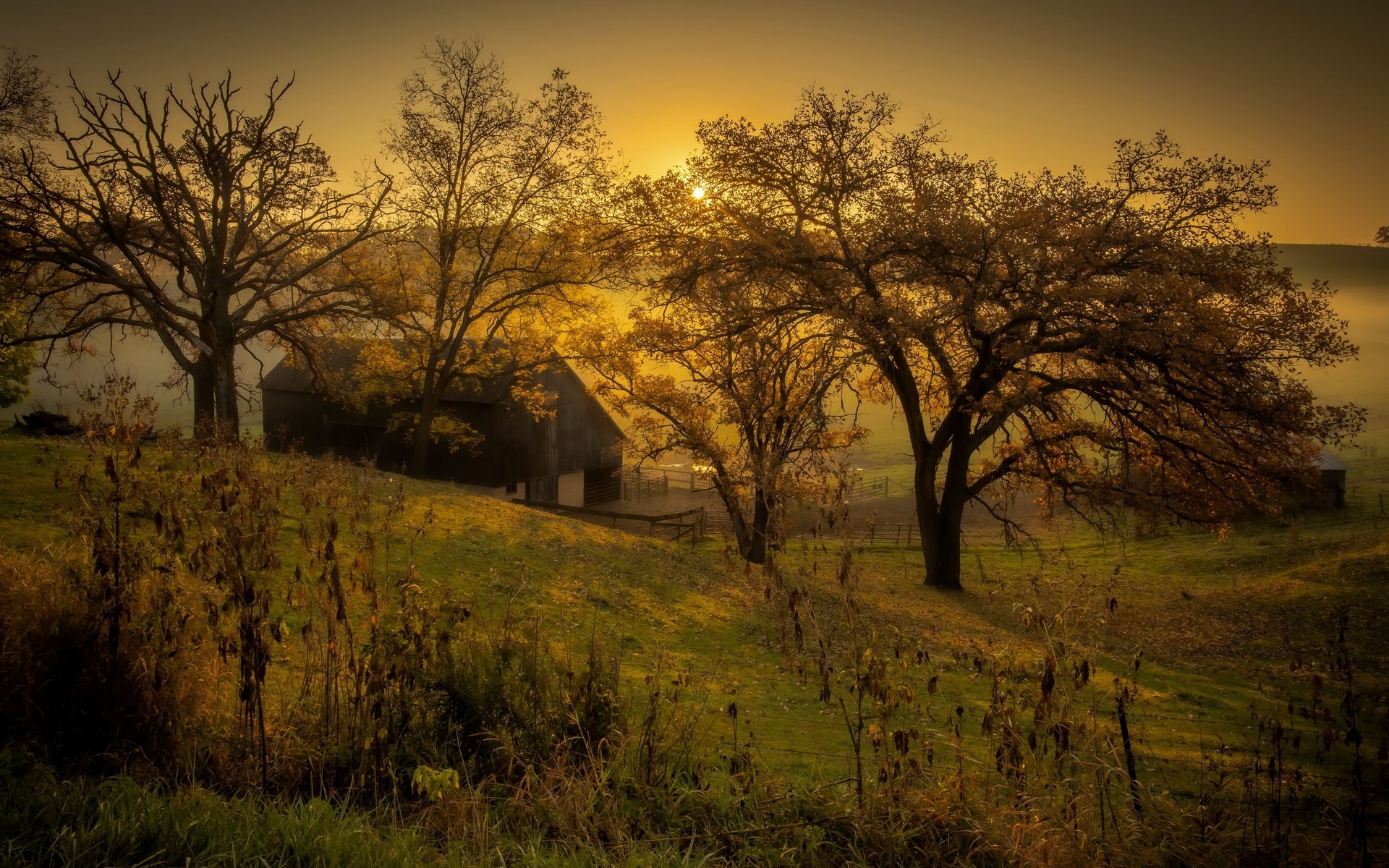 Обои закат, туман, осень, sunset, fog, autumn разрешение 3840x2160 Загрузить