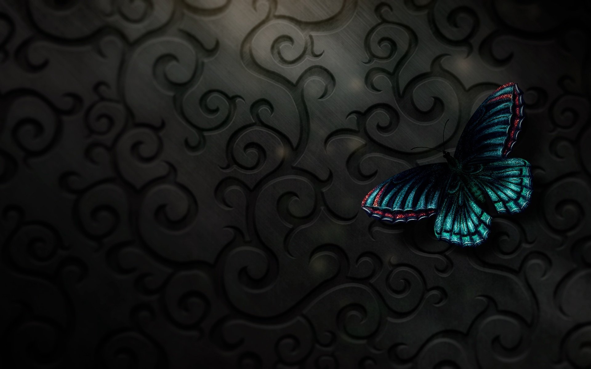 Обои бабочка, butterfly разрешение 2560x1440 Загрузить