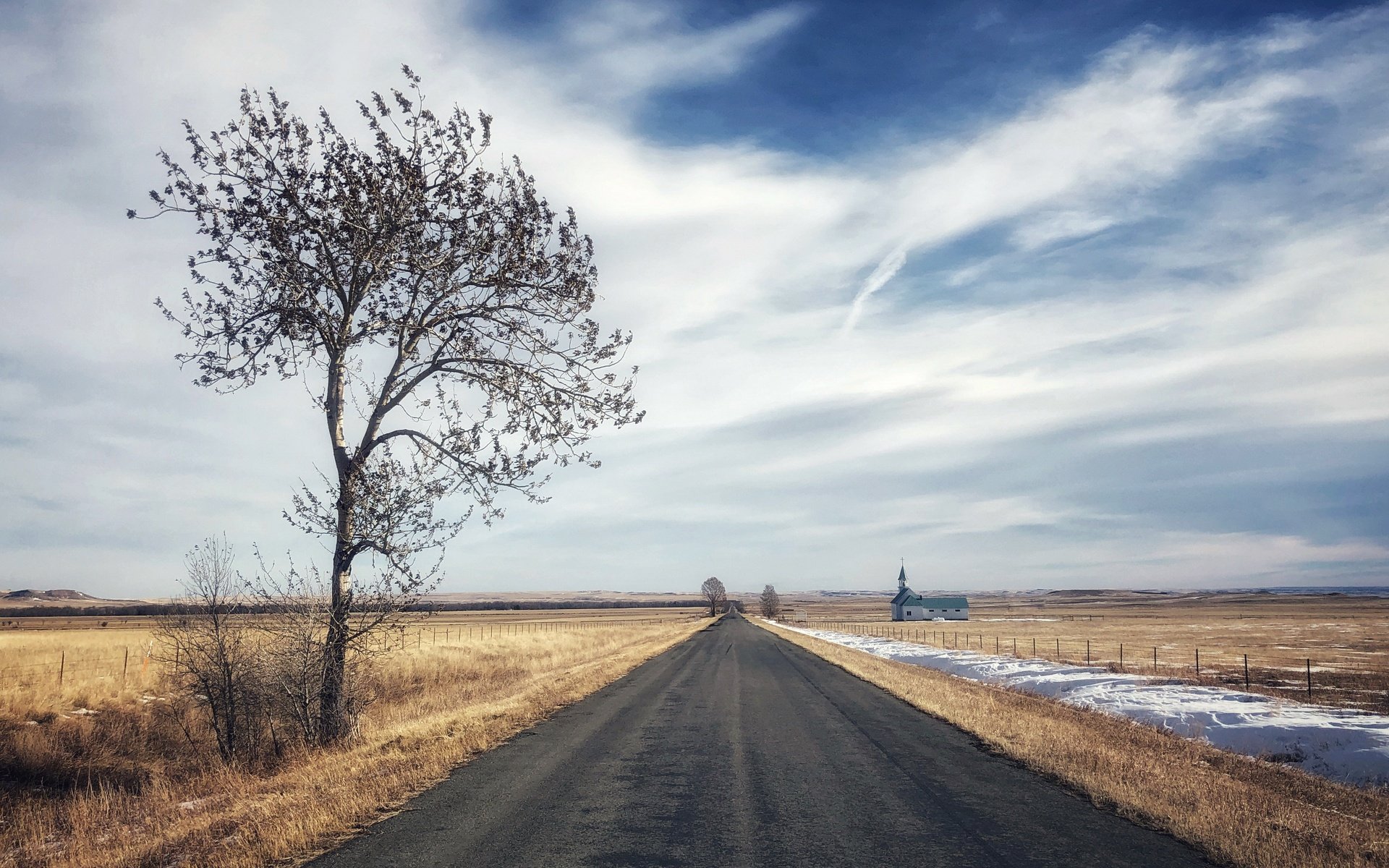 Обои дорога, дерево, поле, road, tree, field разрешение 3840x2160 Загрузить