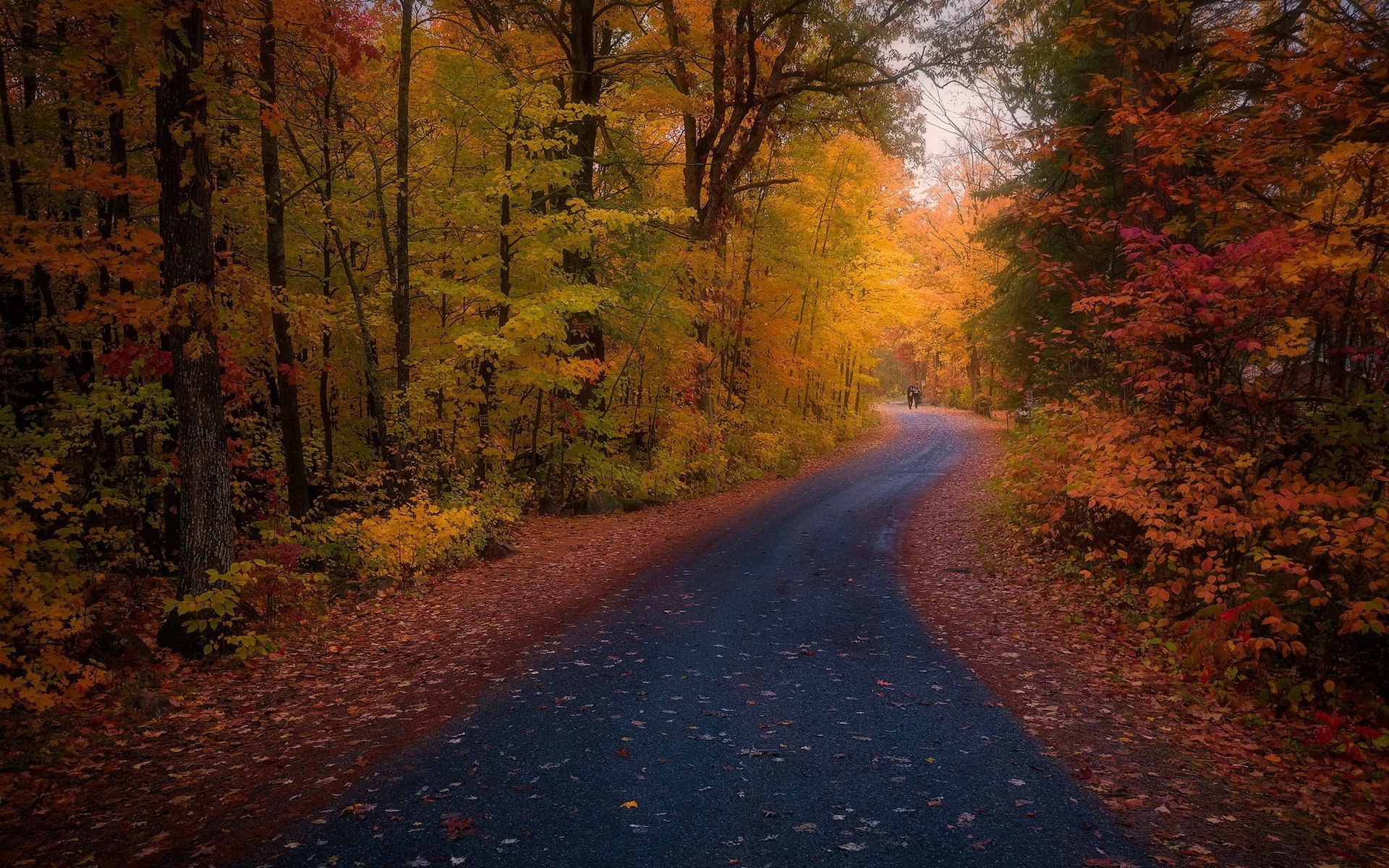 Обои дорога, осень, road, autumn разрешение 2048x1260 Загрузить