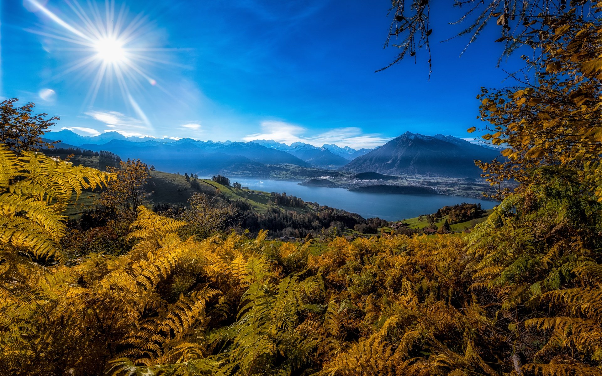 Обои горы, берег, водоем, синева, папоротник, mountains, shore, pond, blue, fern разрешение 6036x4020 Загрузить