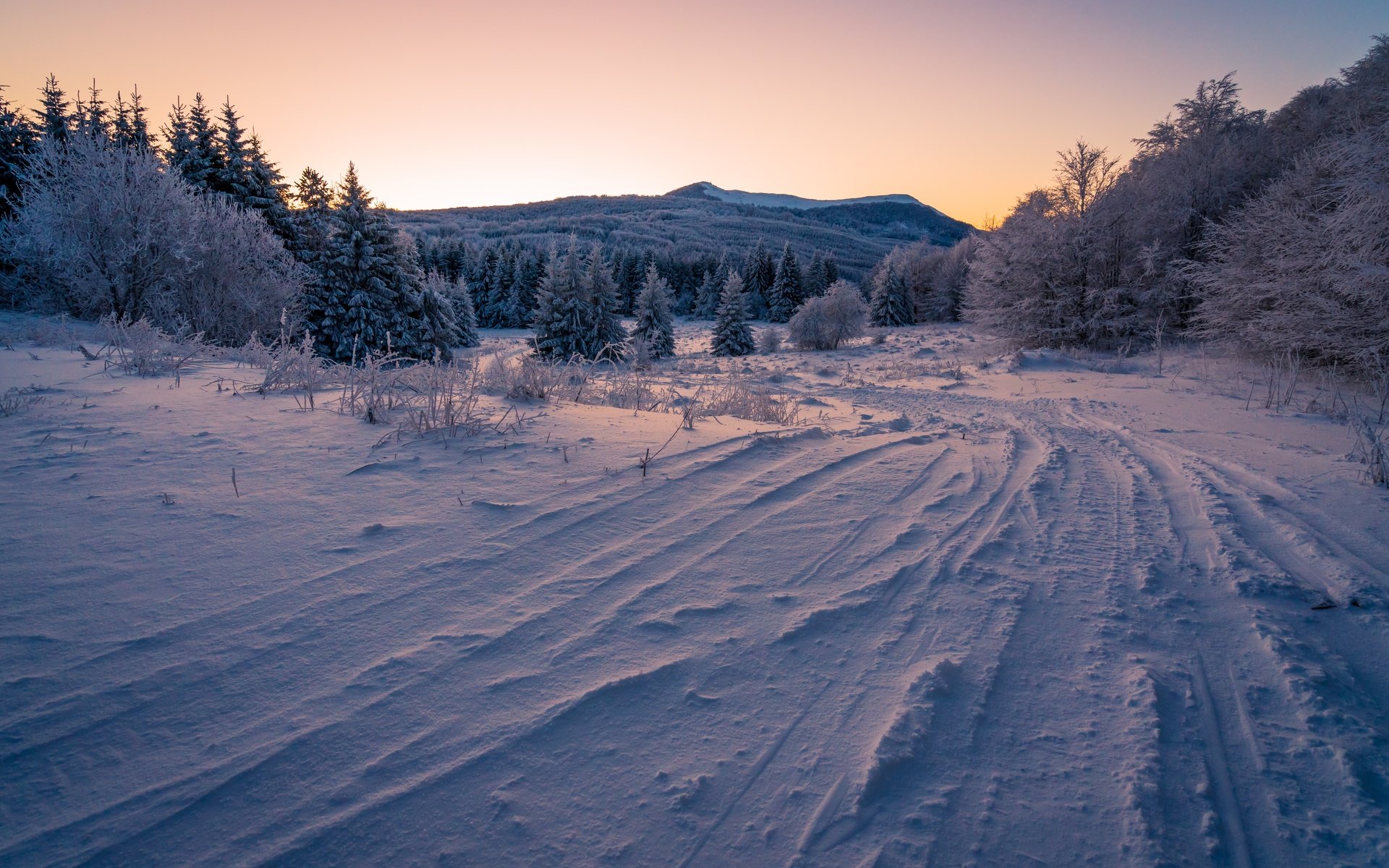 Обои небо, ели, дорога, вечер, горы, снег, лес, зима, ветки, the sky, ate, road, the evening, mountains, snow, forest, winter, branches разрешение 7480x4989 Загрузить