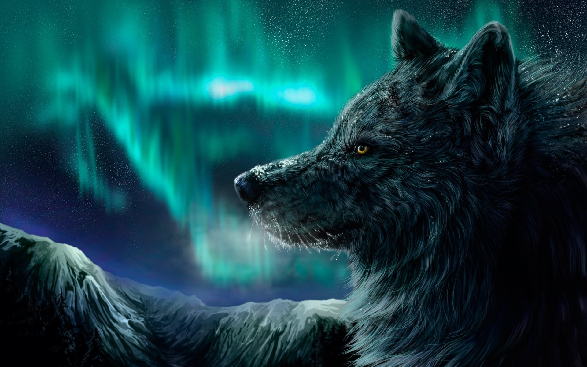 Обои ночь, зима, северное сияние, волк, night, winter, northern lights, wolf разрешение 2560x1600 Загрузить