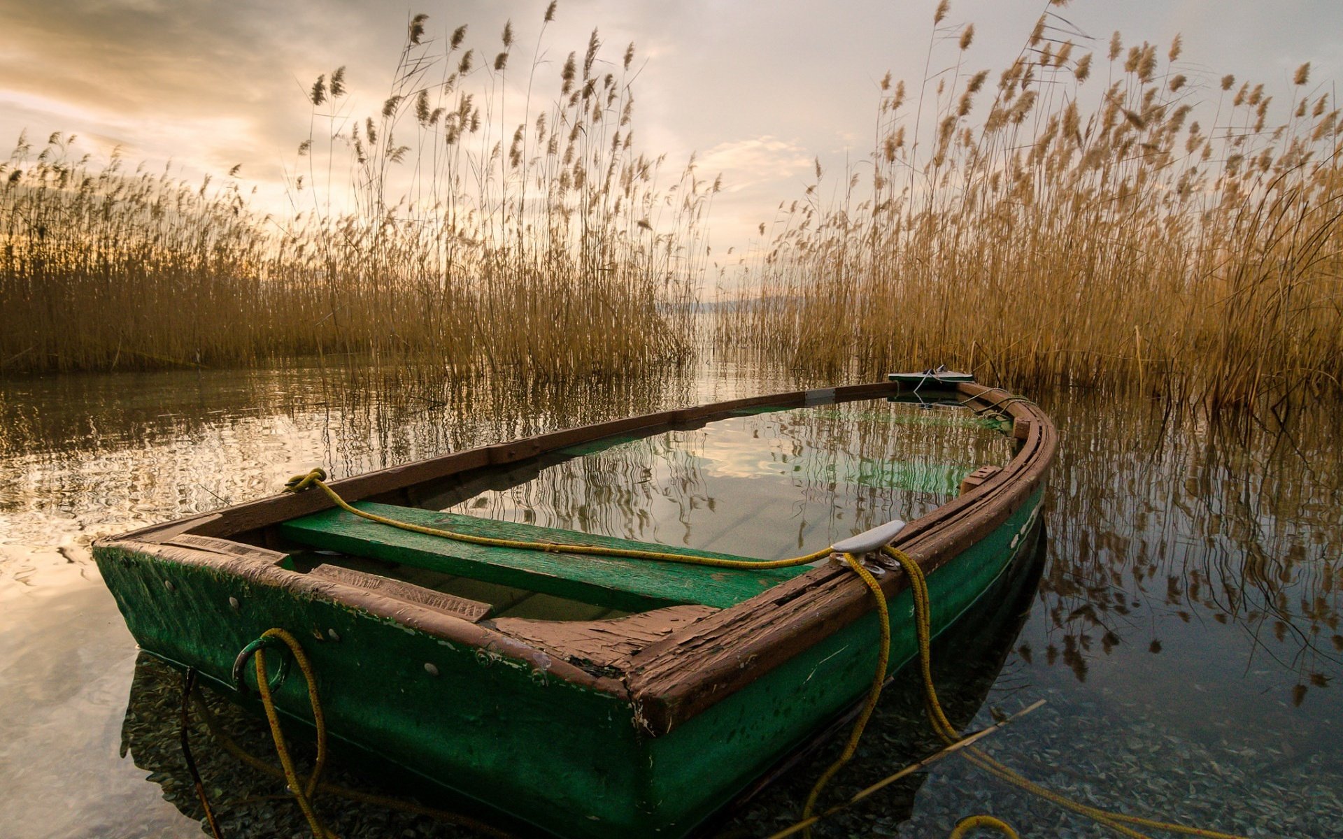 Обои озеро, лодка, камыш, lake, boat, reed разрешение 1920x1300 Загрузить