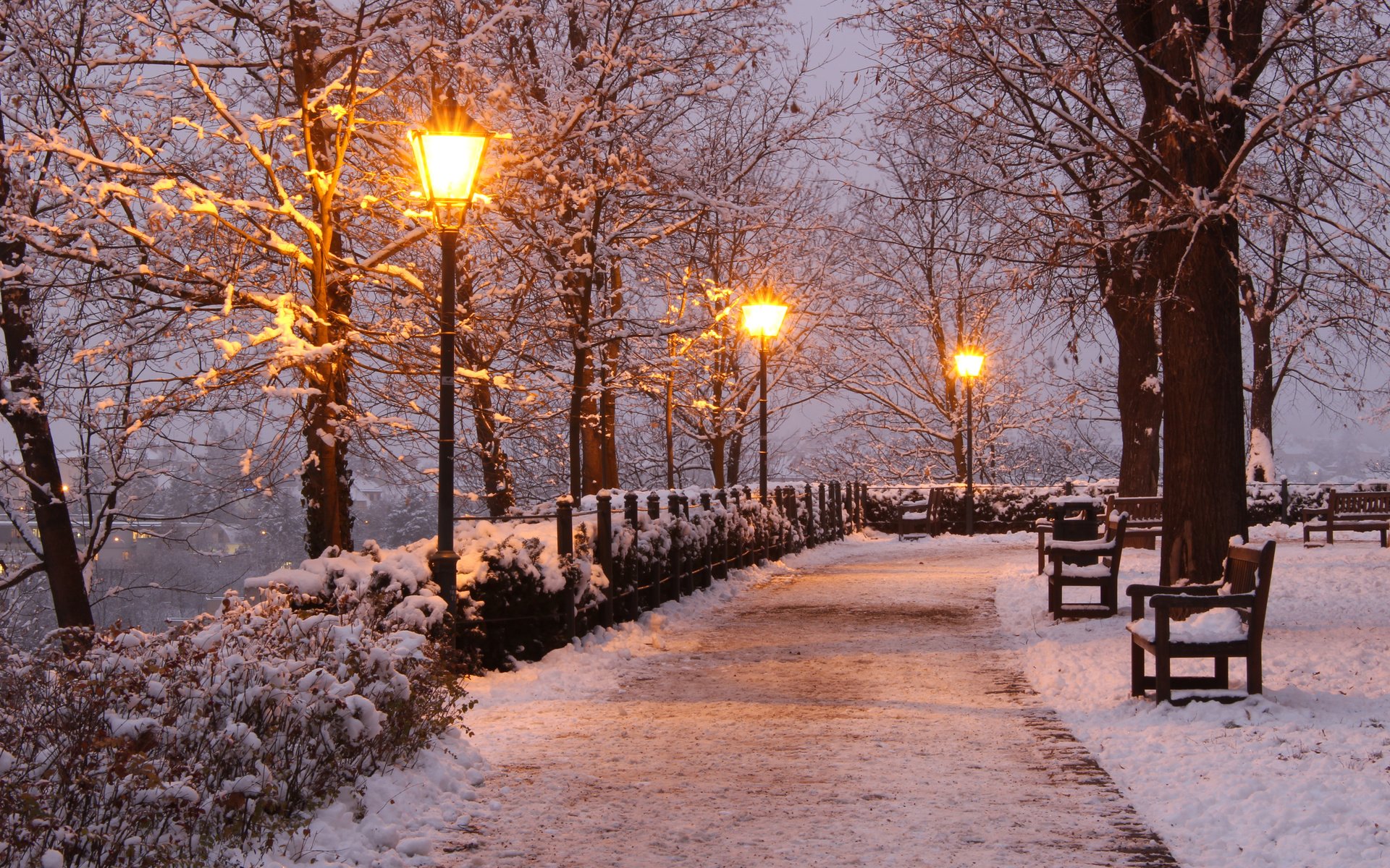 Обои вечер, зима, парк, the evening, winter, park разрешение 4200x2800 Загрузить