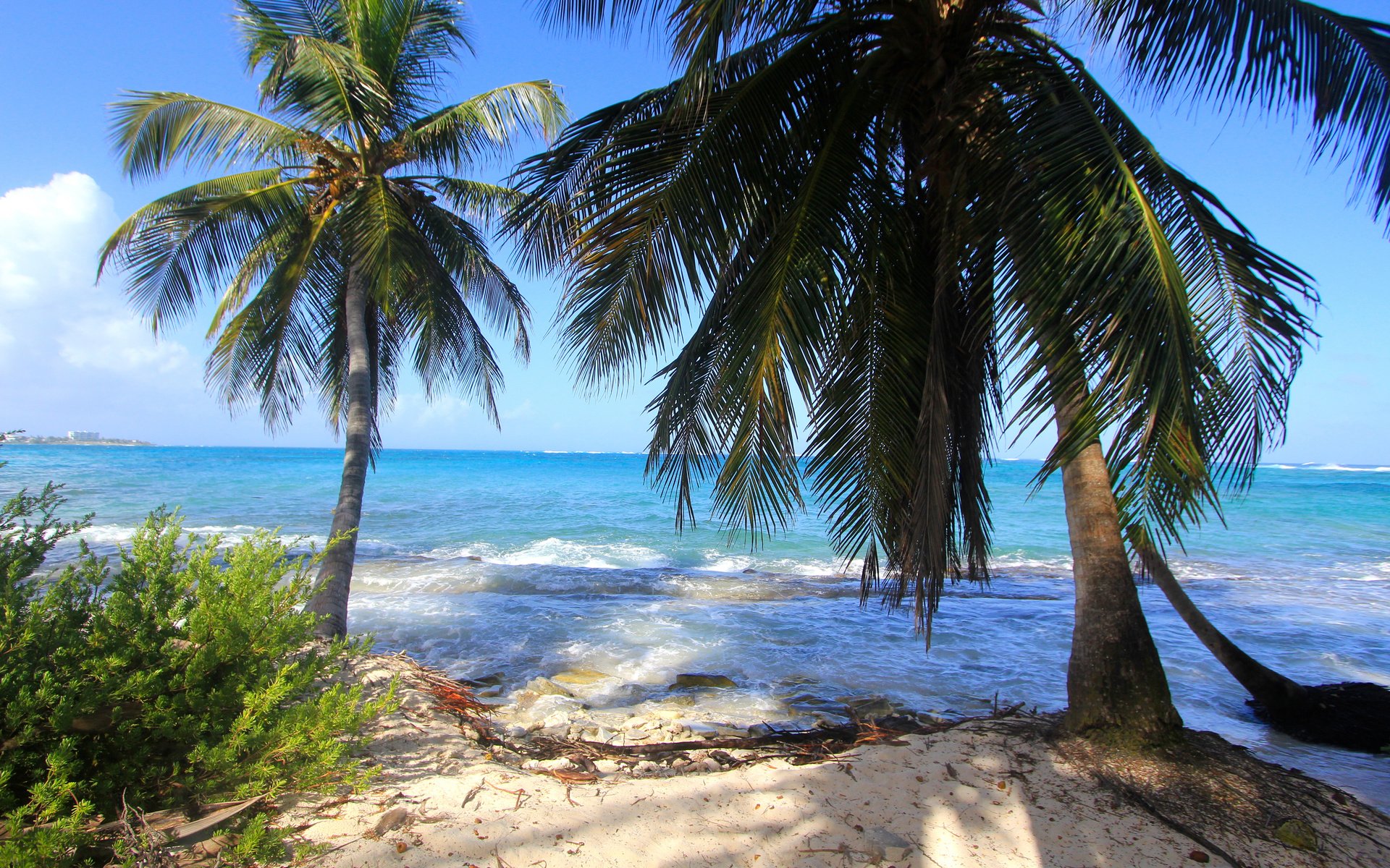 Обои пальмы, океан, тропический остров, palm trees, the ocean разрешение 4500x3000 Загрузить