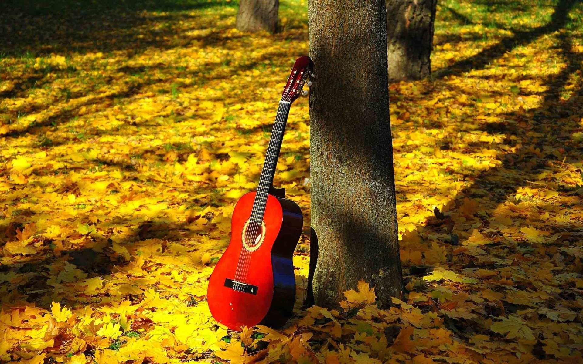 Обои природа, листья, гитара, листва, осень, струны, nature, leaves, guitar, foliage, autumn, strings разрешение 5120x3200 Загрузить