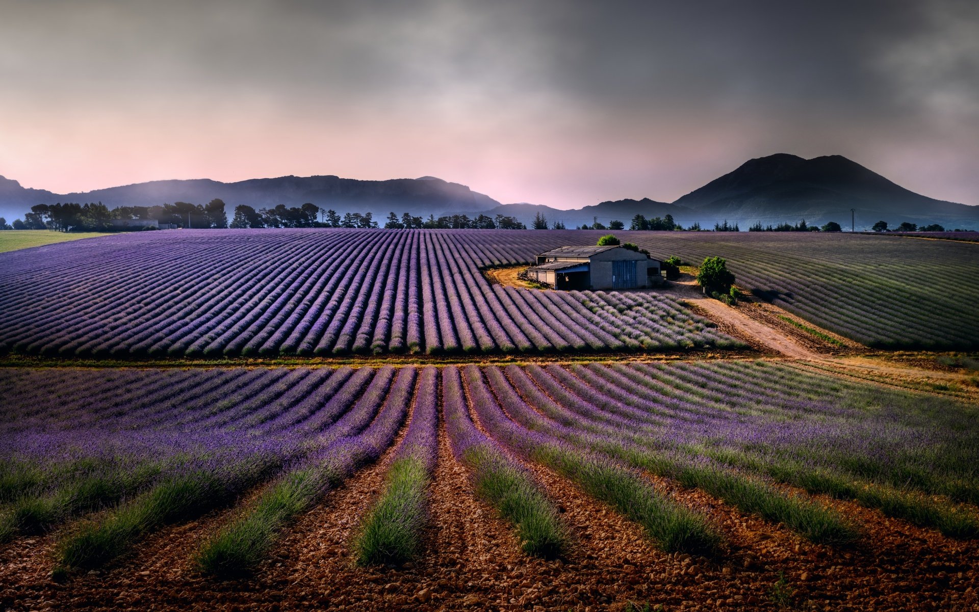 Обои горы, природа, пейзаж, поля, лаванда, дом, mountains, nature, landscape, field, lavender, house разрешение 4000x2250 Загрузить