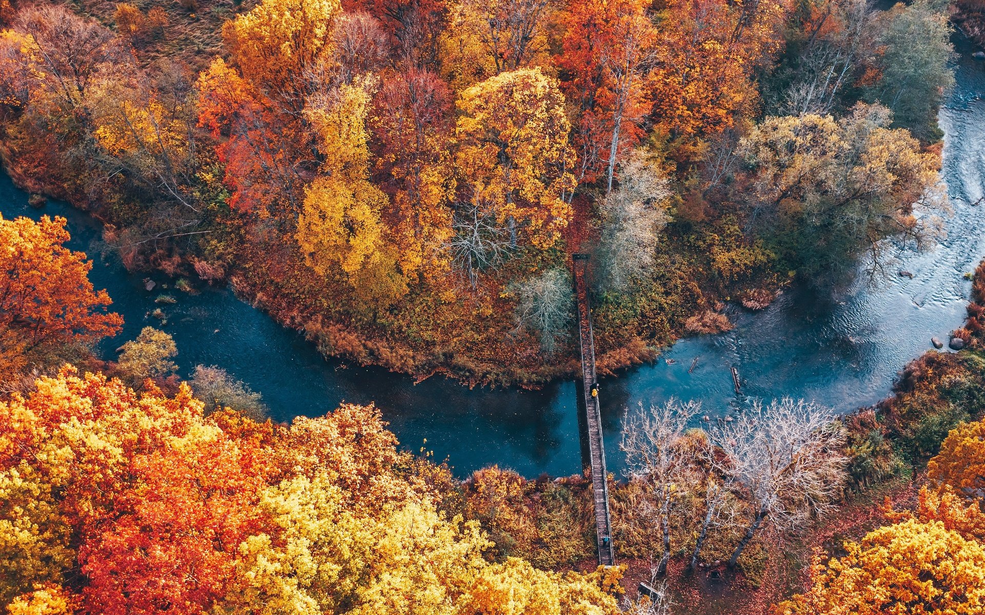 Обои река, парк, осень, river, park, autumn разрешение 3840x2160 Загрузить