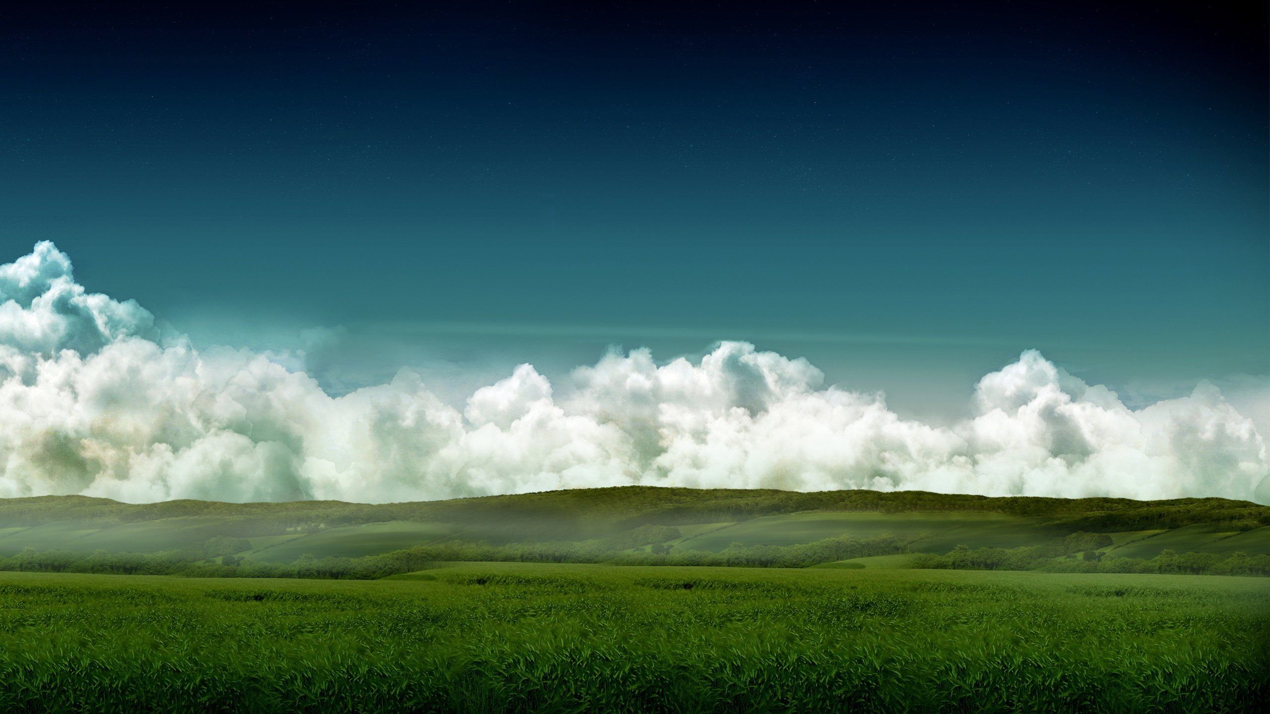Обои небо, трава, поле, небеса, the sky, grass, field, heaven разрешение 2560x1600 Загрузить