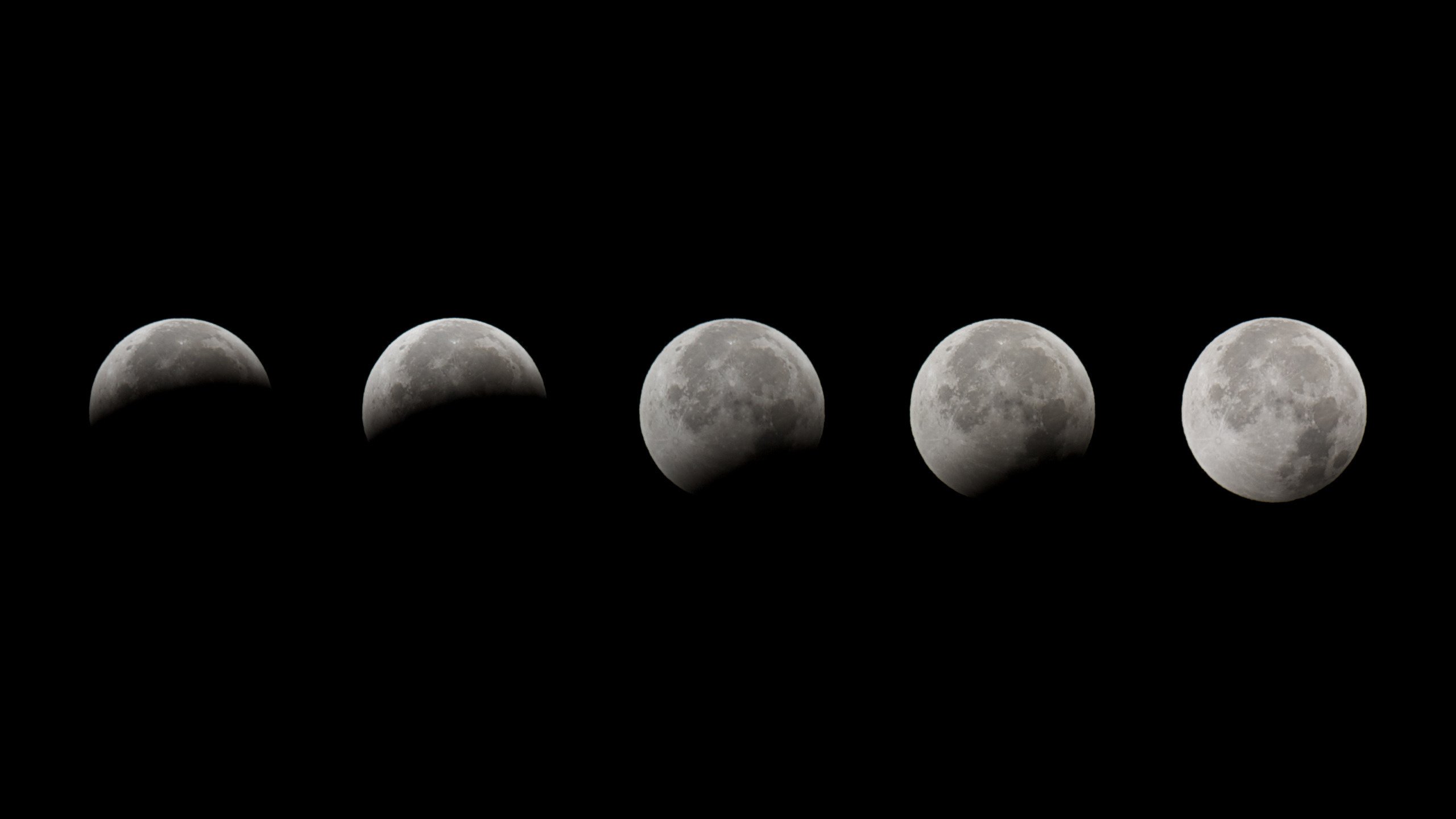 Обои луна, фазы, затмение, lunar eclipse, the moon, phase, eclipse разрешение 2560x1600 Загрузить