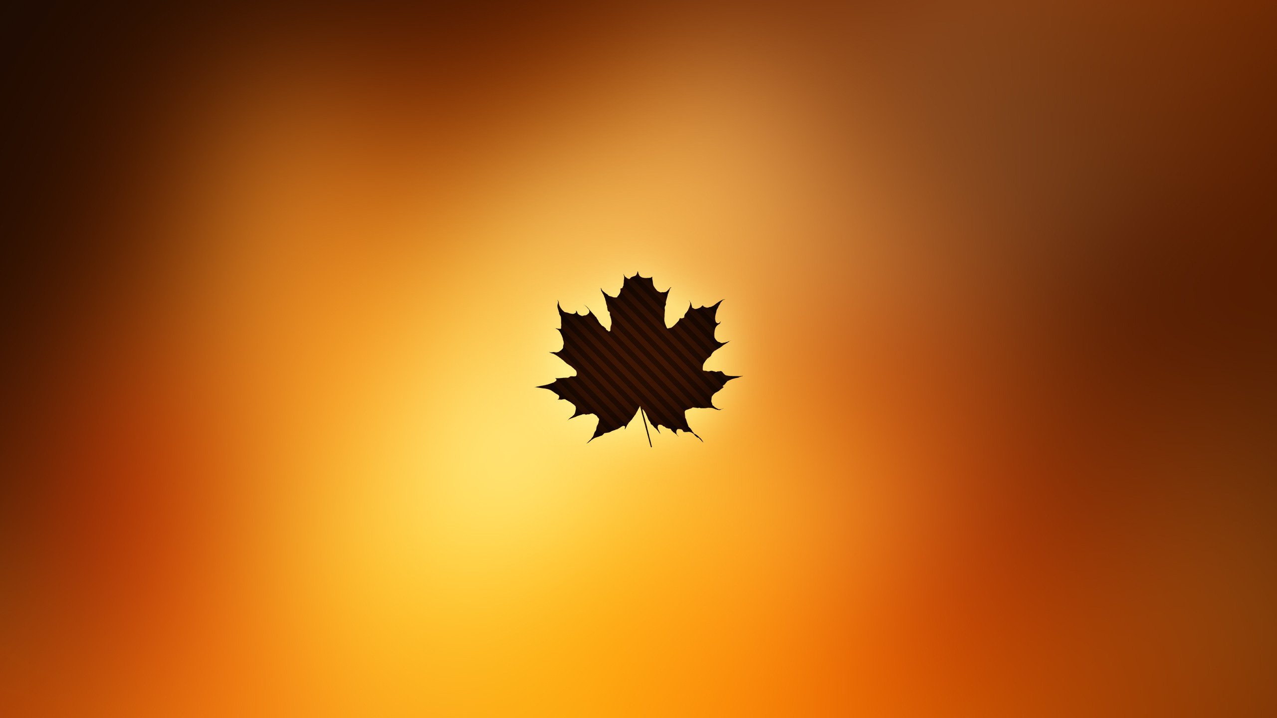 Обои осень, лист, осен, autumn, sheet разрешение 2560x1600 Загрузить