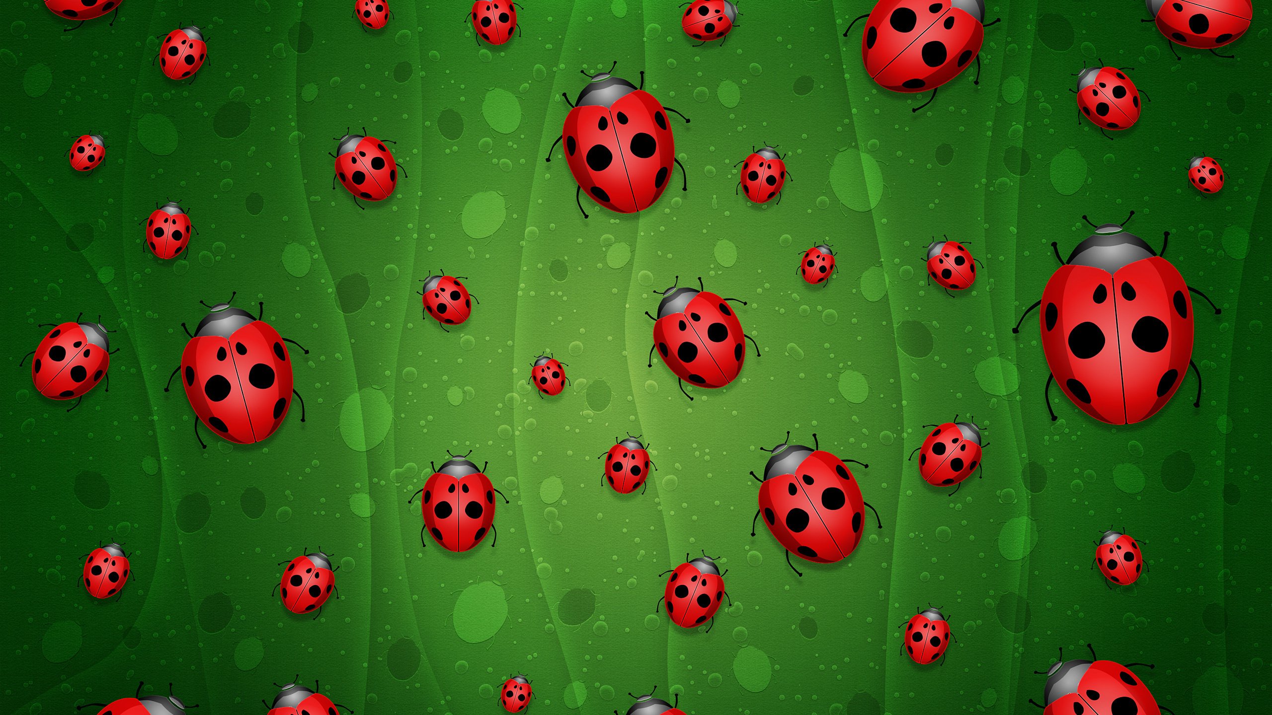 Обои зелёный, фон, божьи коровки, green, background, ladybugs разрешение 2560x1600 Загрузить