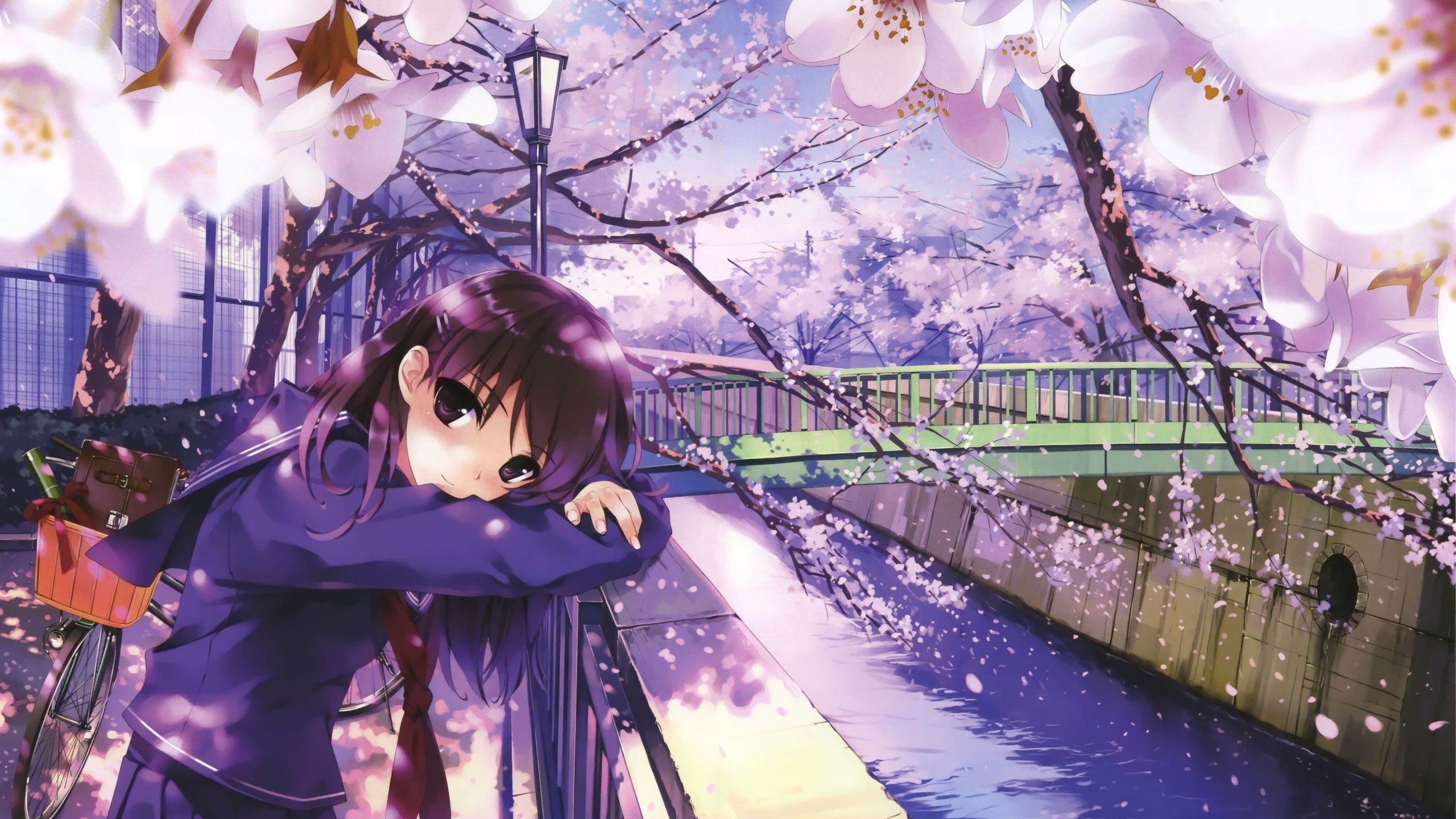 Обои мост, взгляд, сакура, нежность, bridge, look, sakura, tenderness разрешение 3500x2085 Загрузить