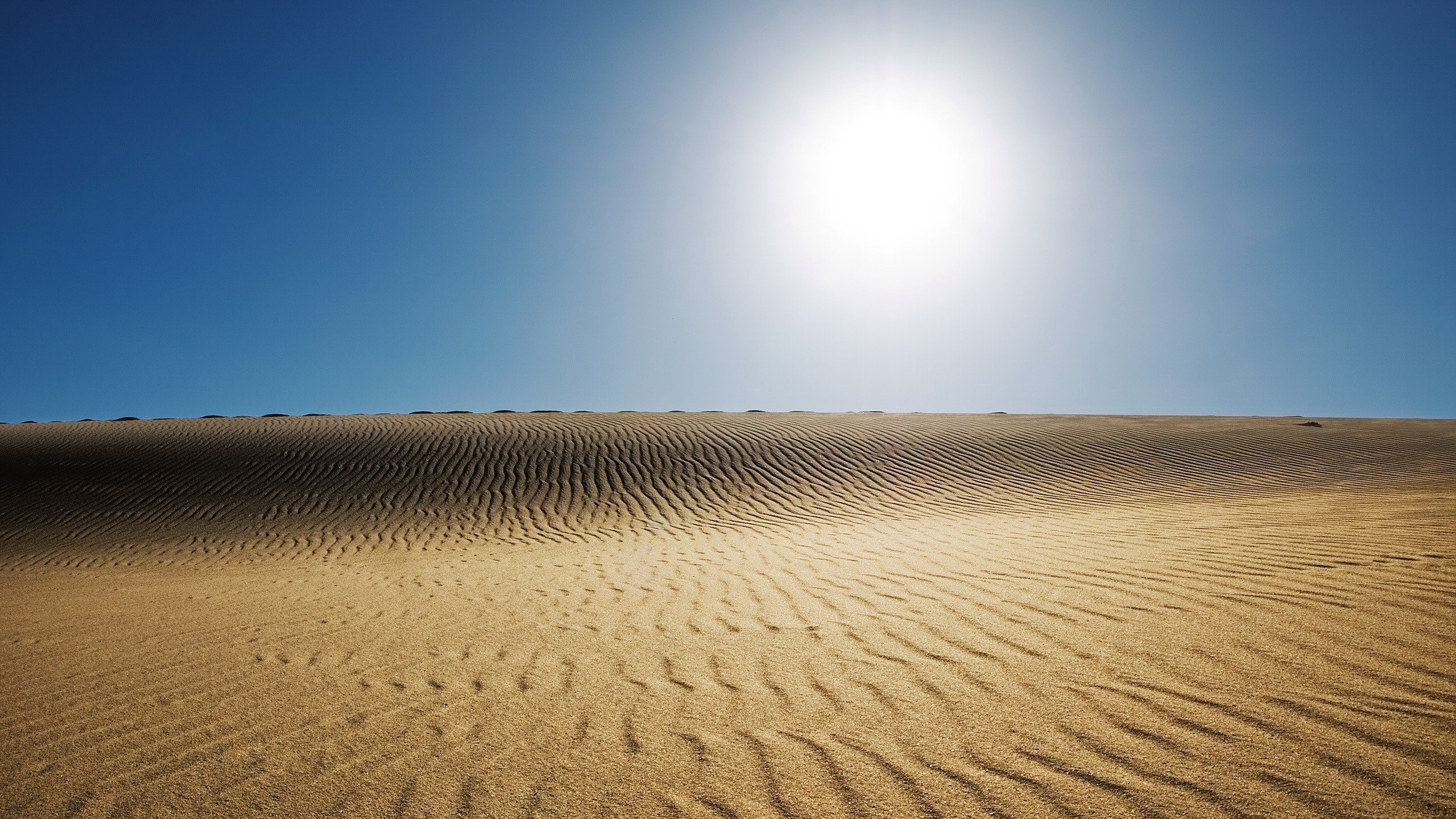 природа пустыня солнце скачать