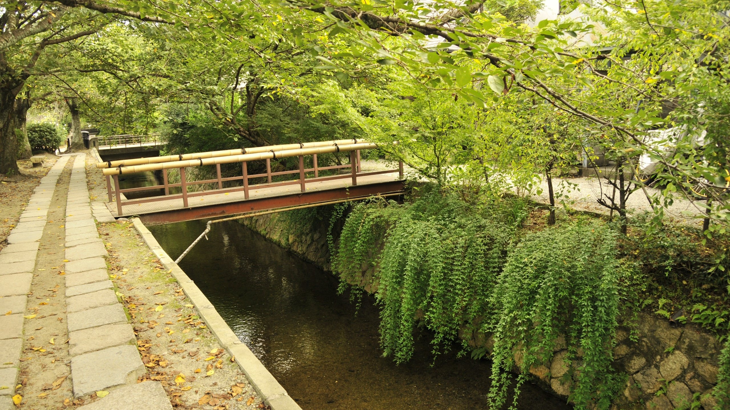 Обои деревья, мост, япония, киото, восток, trees, bridge, japan, kyoto, east разрешение 4656x3092 Загрузить