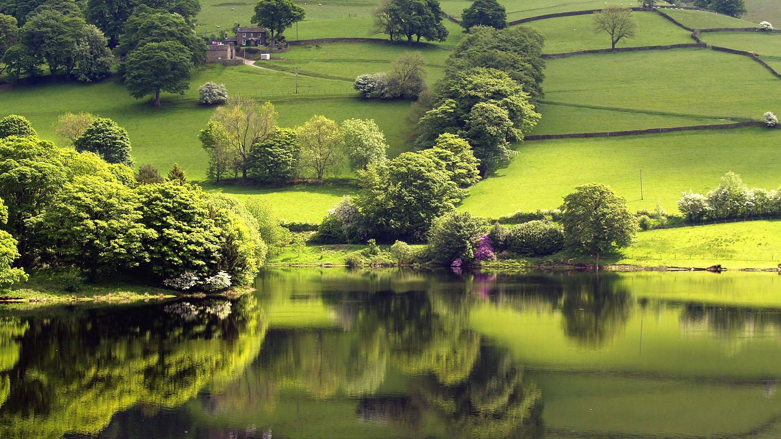 Обои озеро, зелень, отражение, lake, greens, reflection разрешение 2560x1600 Загрузить