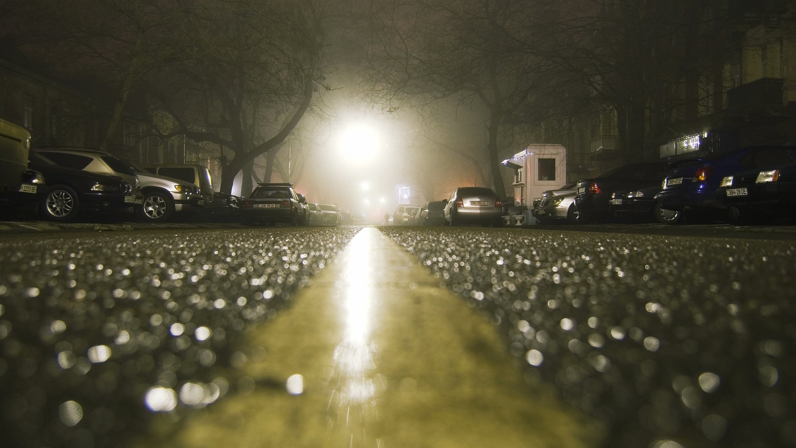 Обои ночь, макро, дома, машины, асфальт после дождя, night, macro, home, machine, asphalt after the rain разрешение 2560x1600 Загрузить