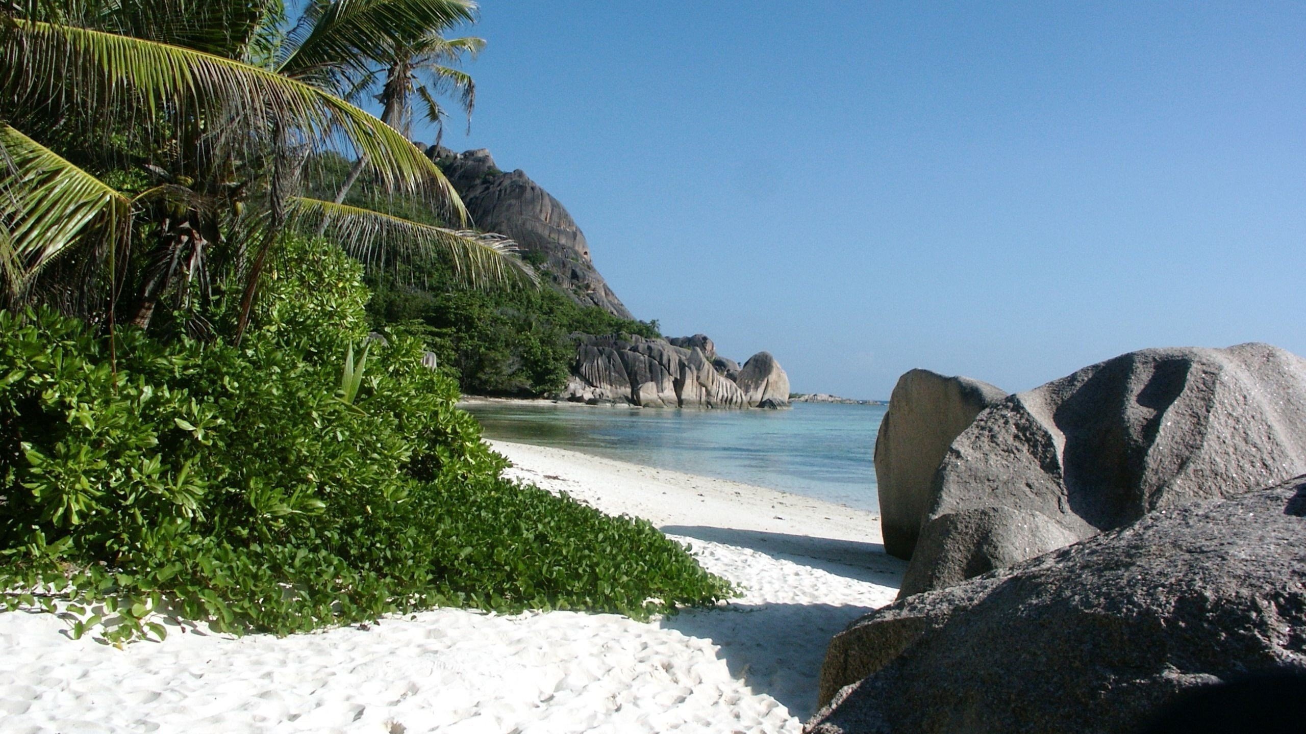 Обои камни, море, песок, тропический пляж, тростник, stones, sea, sand, tropical beach, cane разрешение 2560x1600 Загрузить