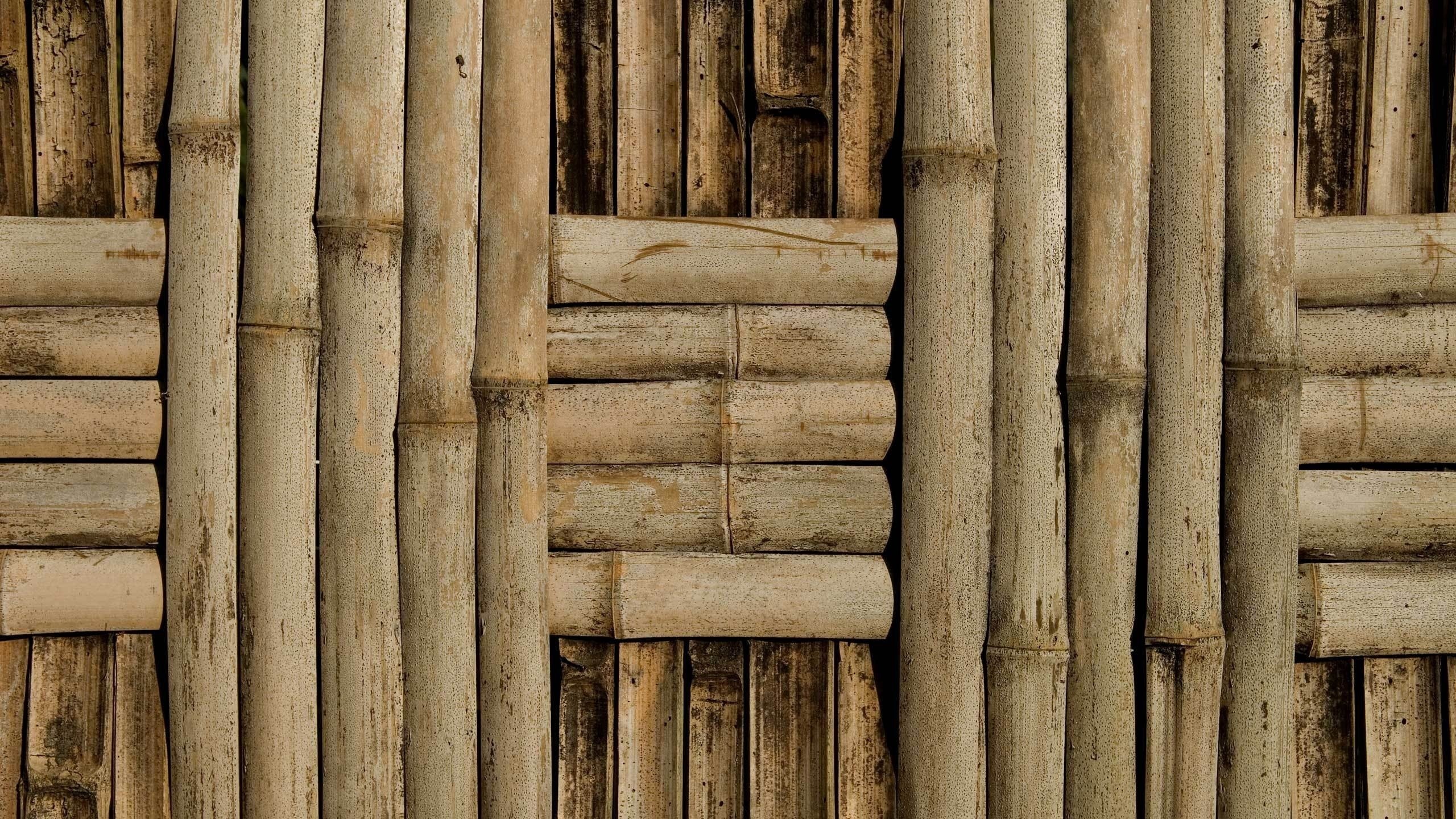 Обои текстура, стена, бамбук, фактура, плетение, texture, wall, bamboo, netting разрешение 2560x1600 Загрузить