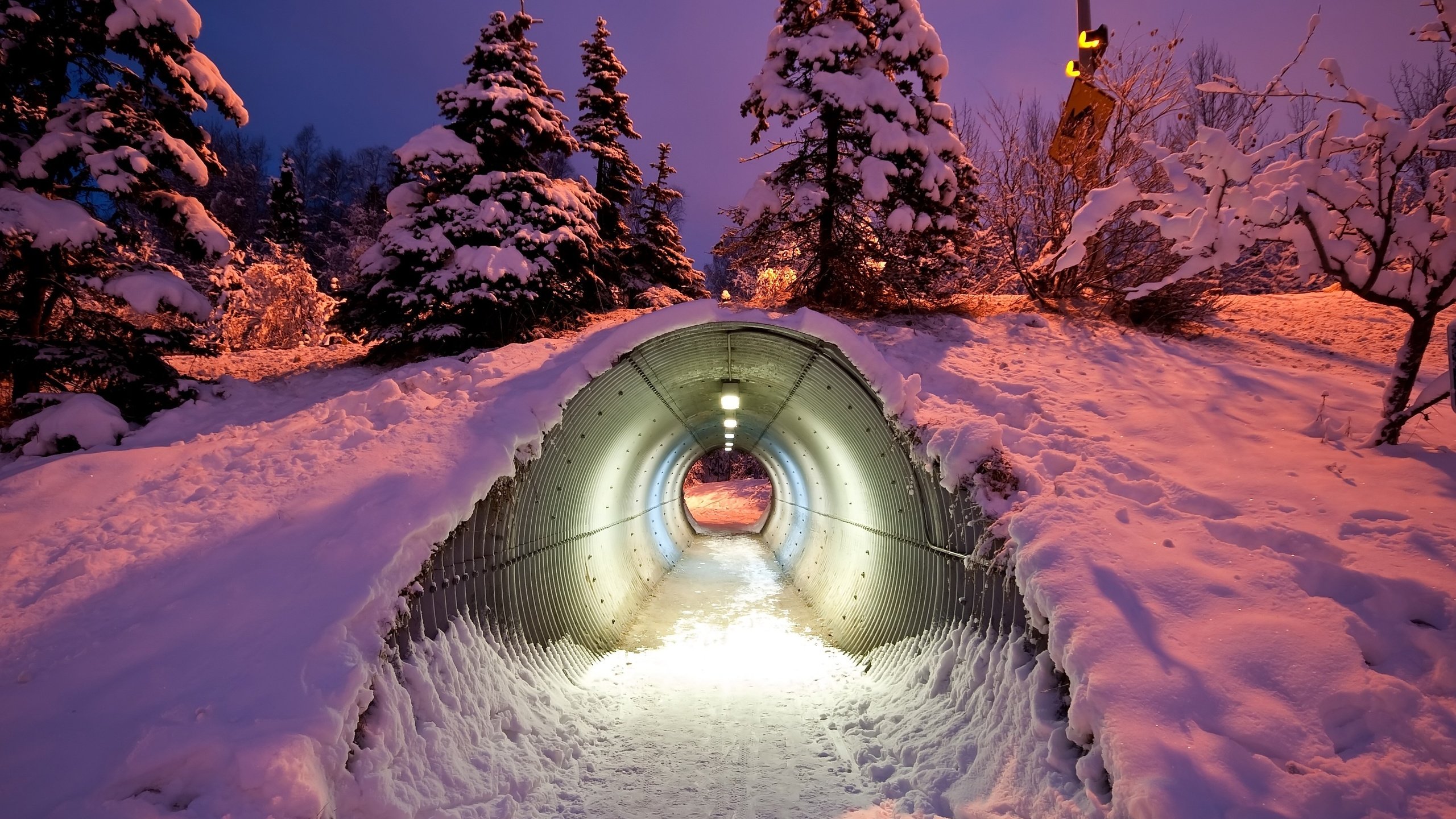 Обои деревья, снег, зима, туннель, trees, snow, winter, the tunnel разрешение 3574x2456 Загрузить