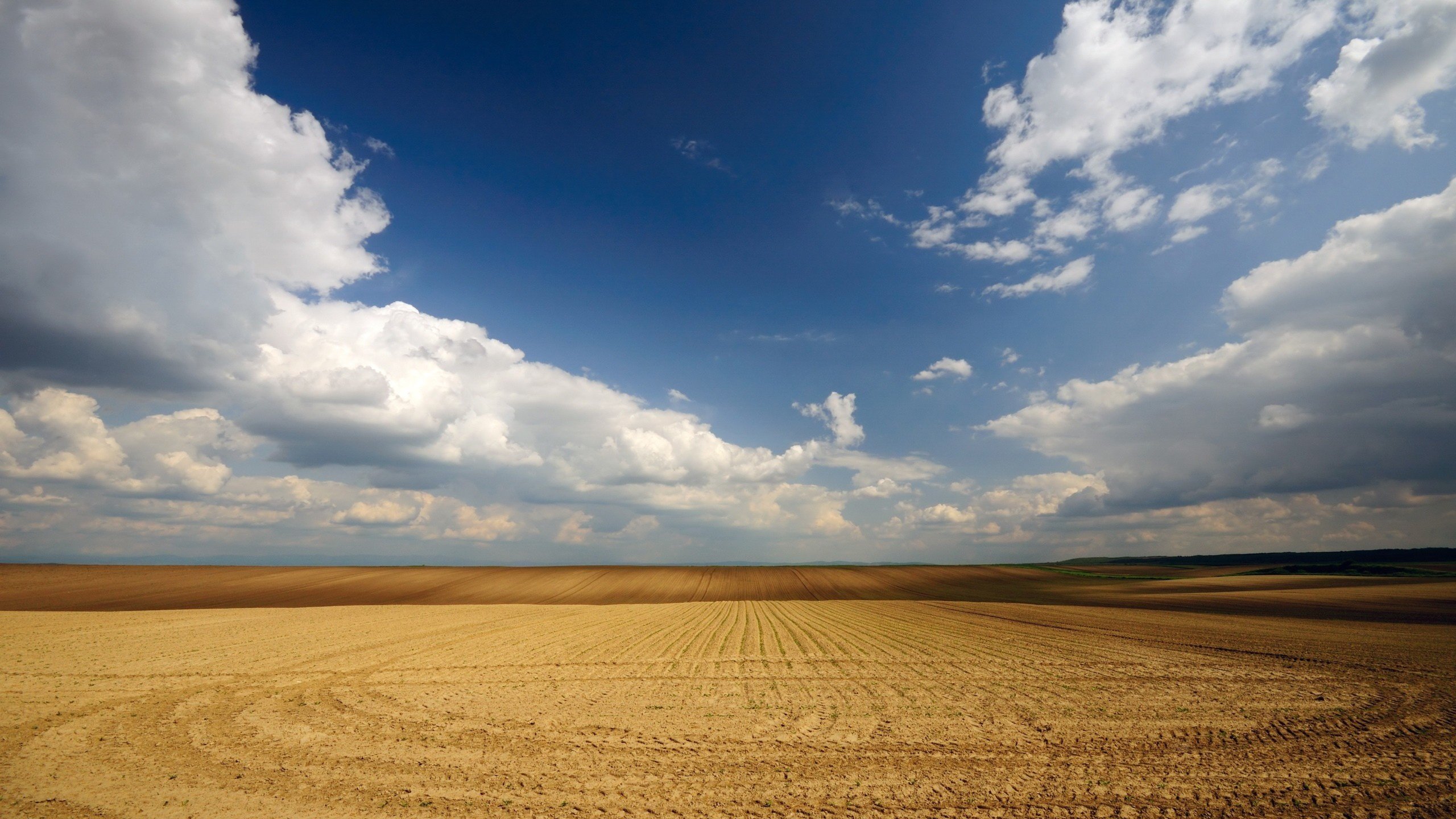 Обои небо, поле, пустота, the sky, field, void разрешение 2560x1600 Загрузить