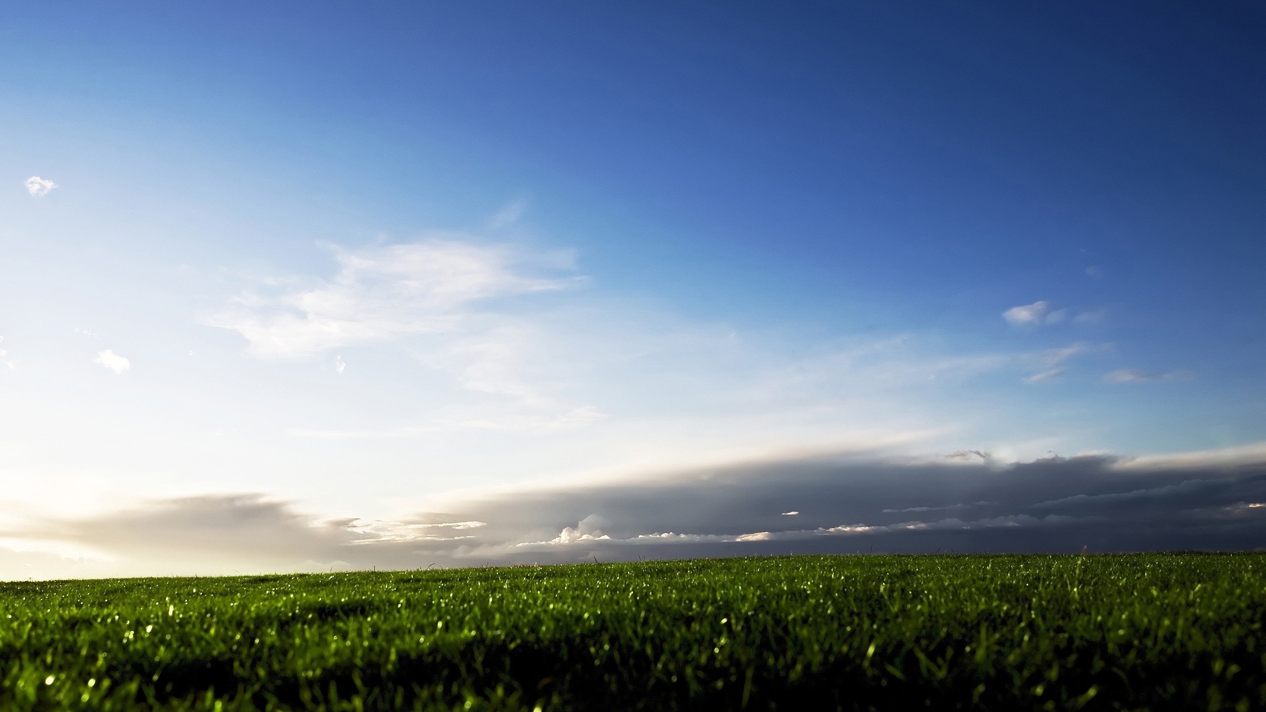 Обои небо, трава, облака, поле, the sky, grass, clouds, field разрешение 2560x1600 Загрузить