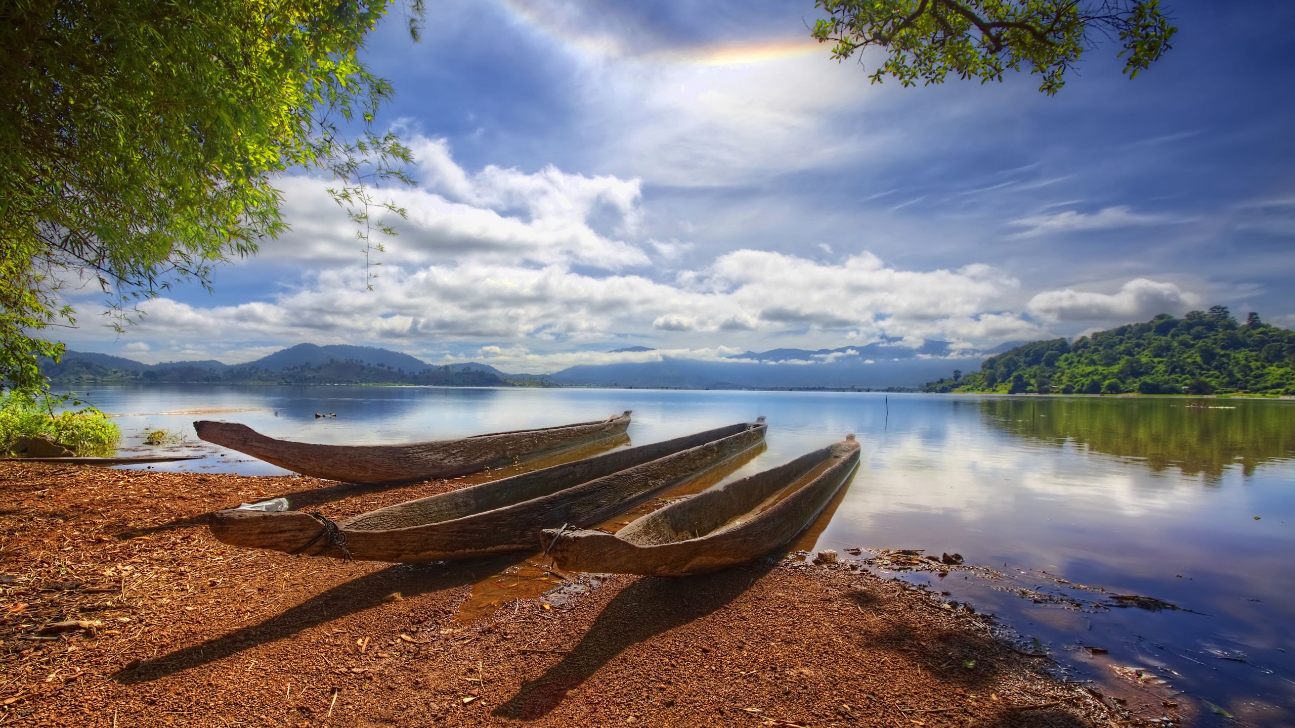 Обои лодки, водоем, три, из, стволов, boats, pond, three, from, trunks разрешение 2560x1600 Загрузить