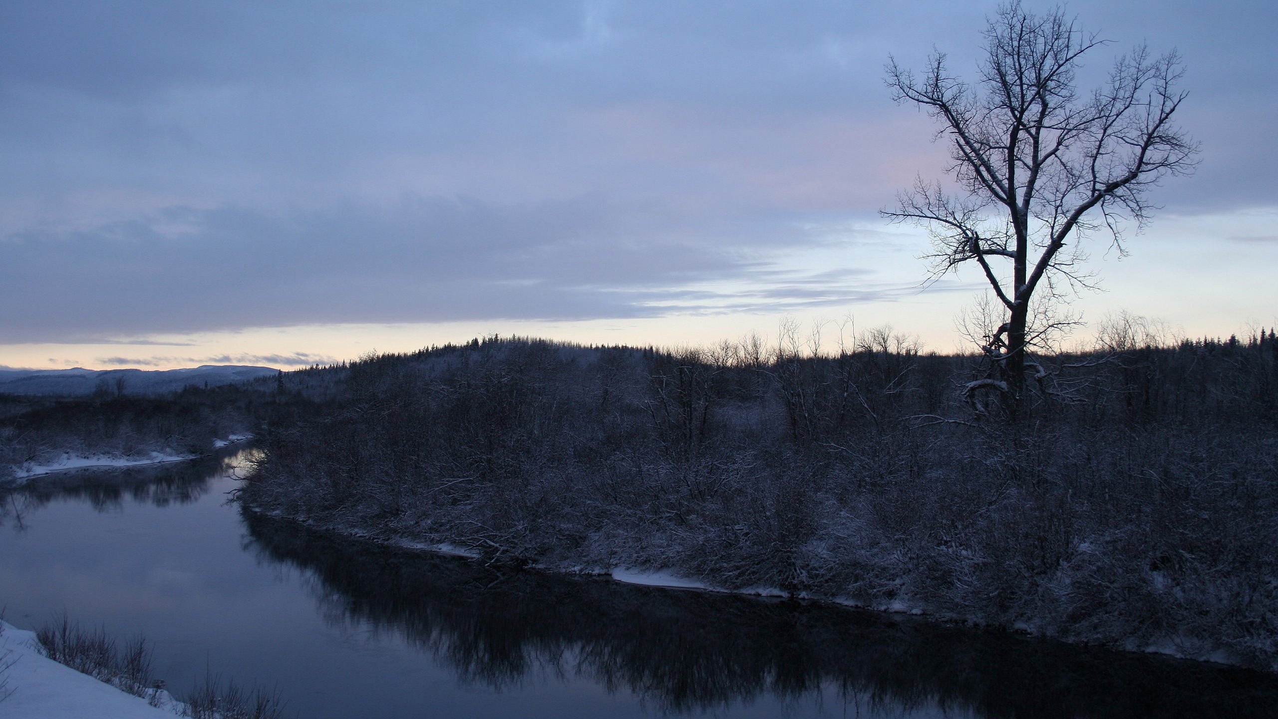 Обои деревья, река, снег, зима, trees, river, snow, winter разрешение 2560x1600 Загрузить