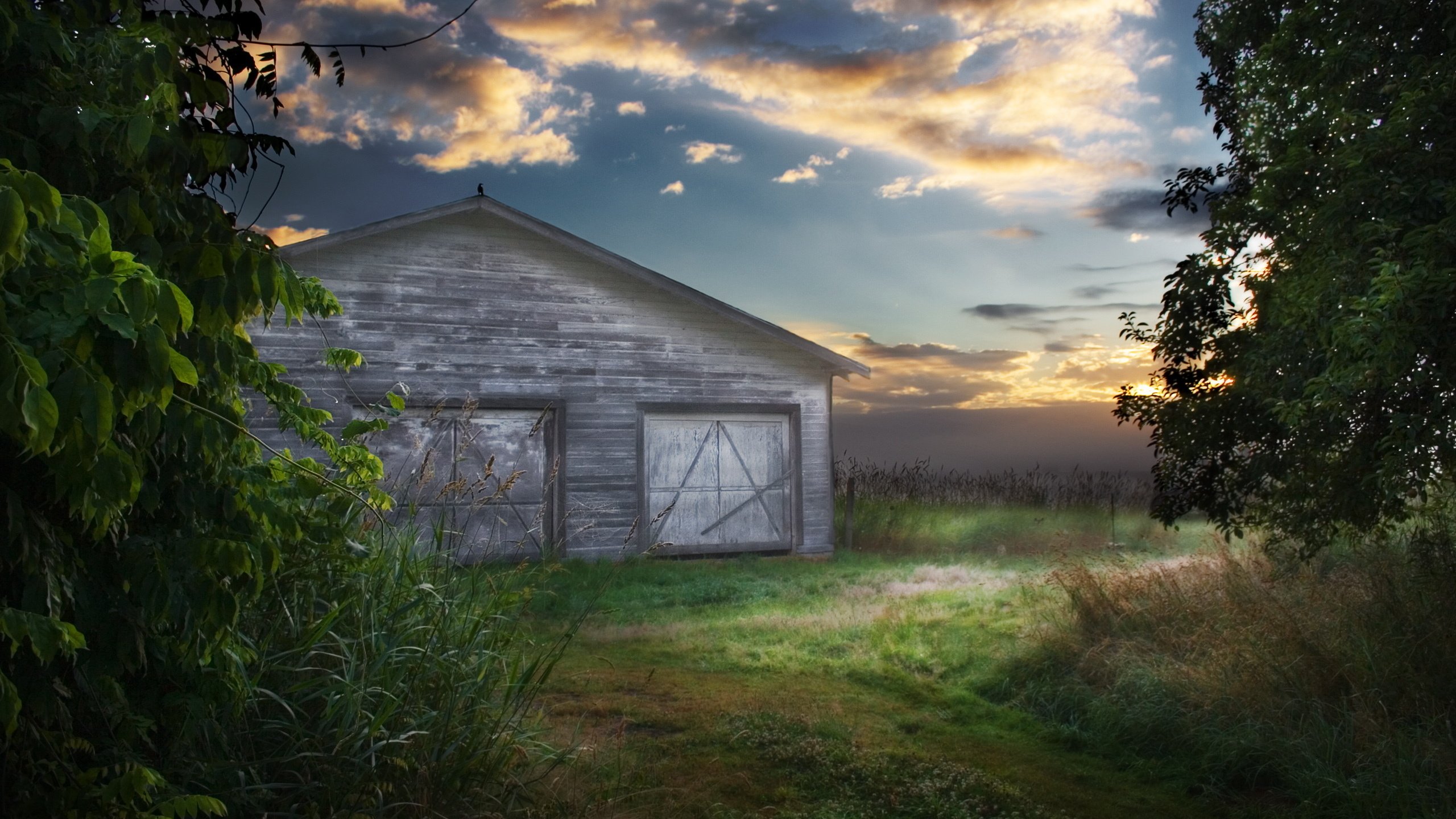 Обои небо, поле, амбар, ворона, the sky, field, the barn, crow разрешение 2560x1600 Загрузить