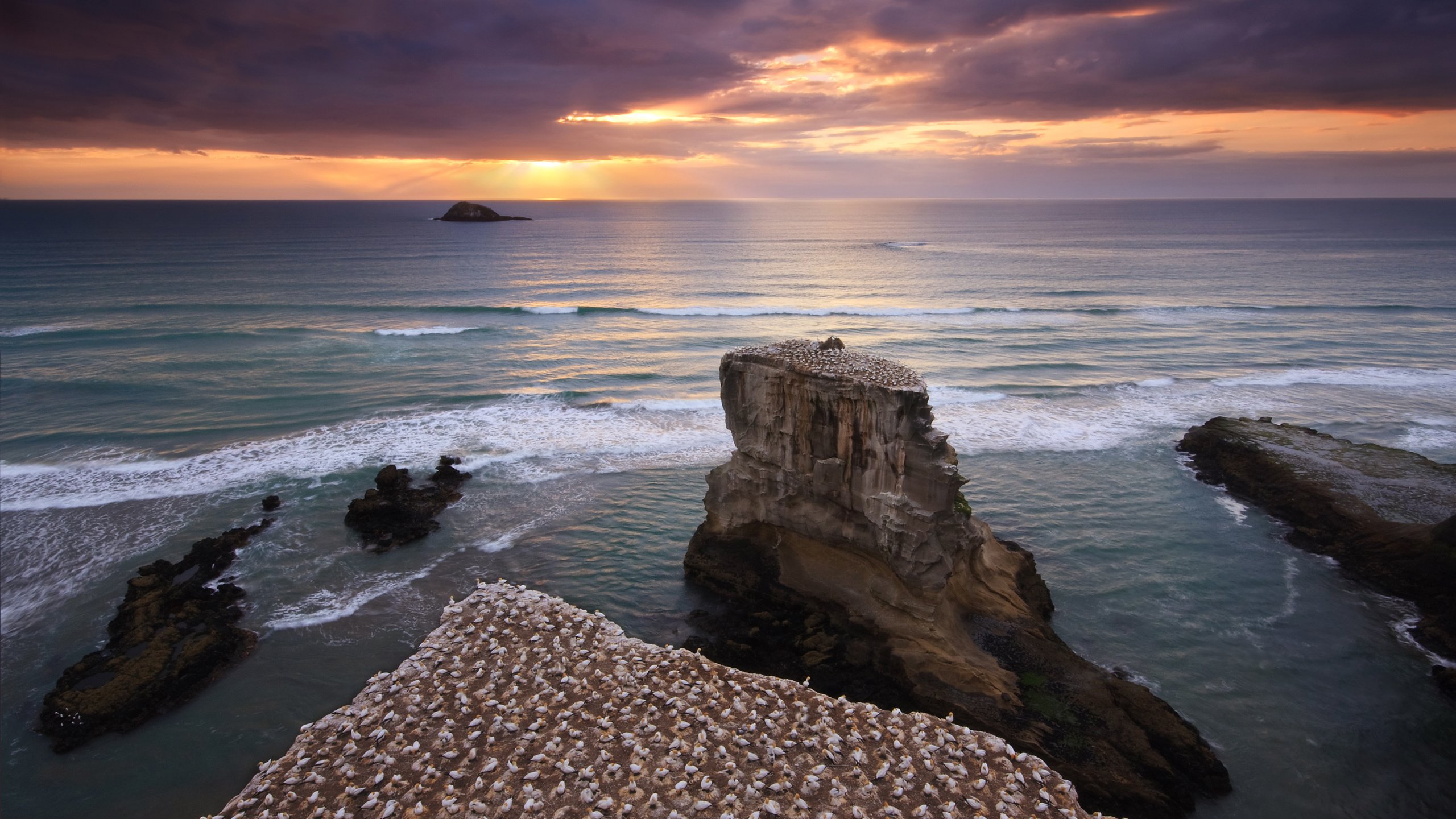 Обои небо, вода, скалы, берег, закат, море, птицы, новая зеландия, the sky, water, rocks, shore, sunset, sea, birds, new zealand разрешение 2560x1600 Загрузить