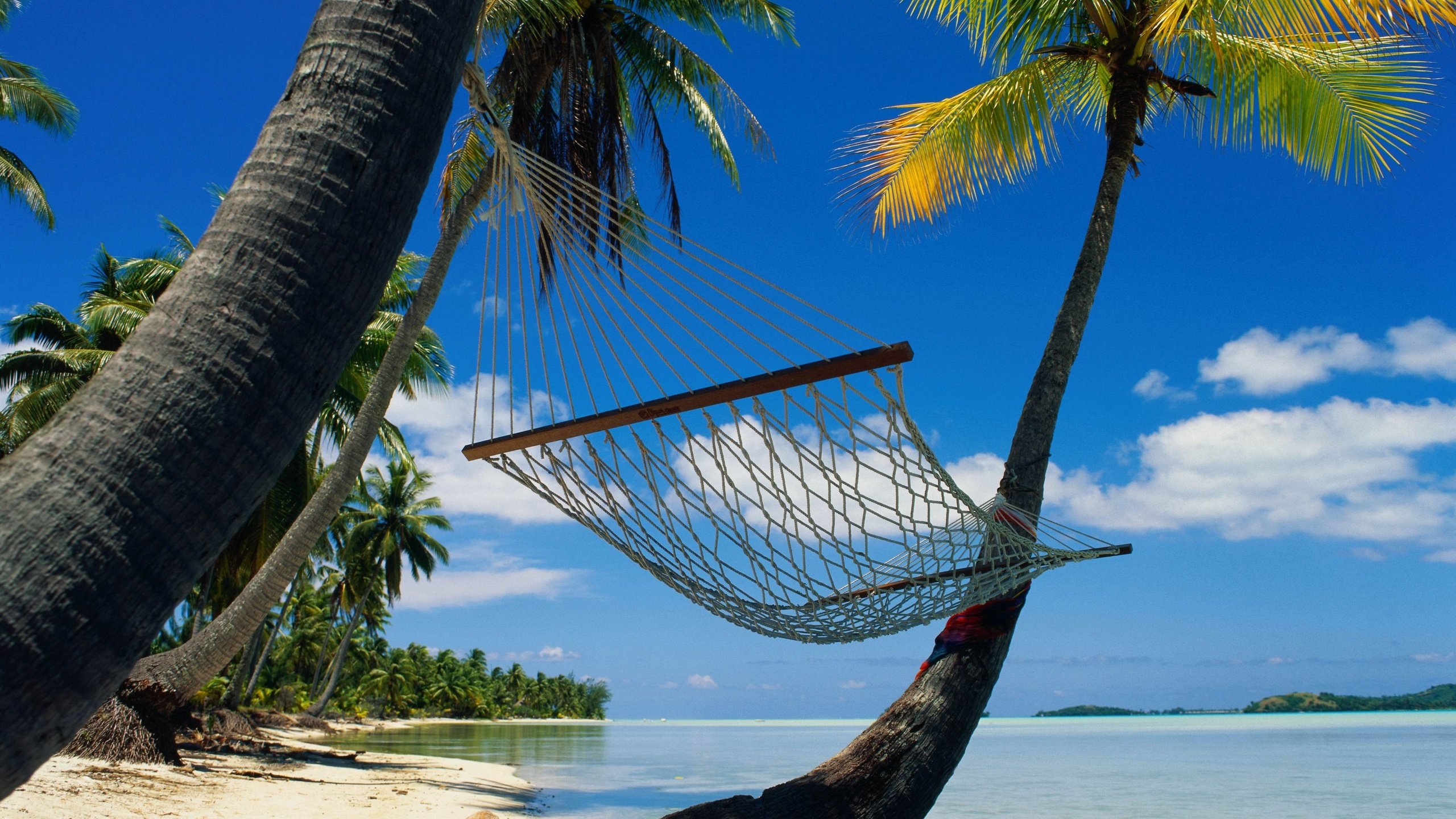 Обои пальмы, релакс, гамак, лагуна, palm trees, relax, hammock, laguna разрешение 4096x3337 Загрузить