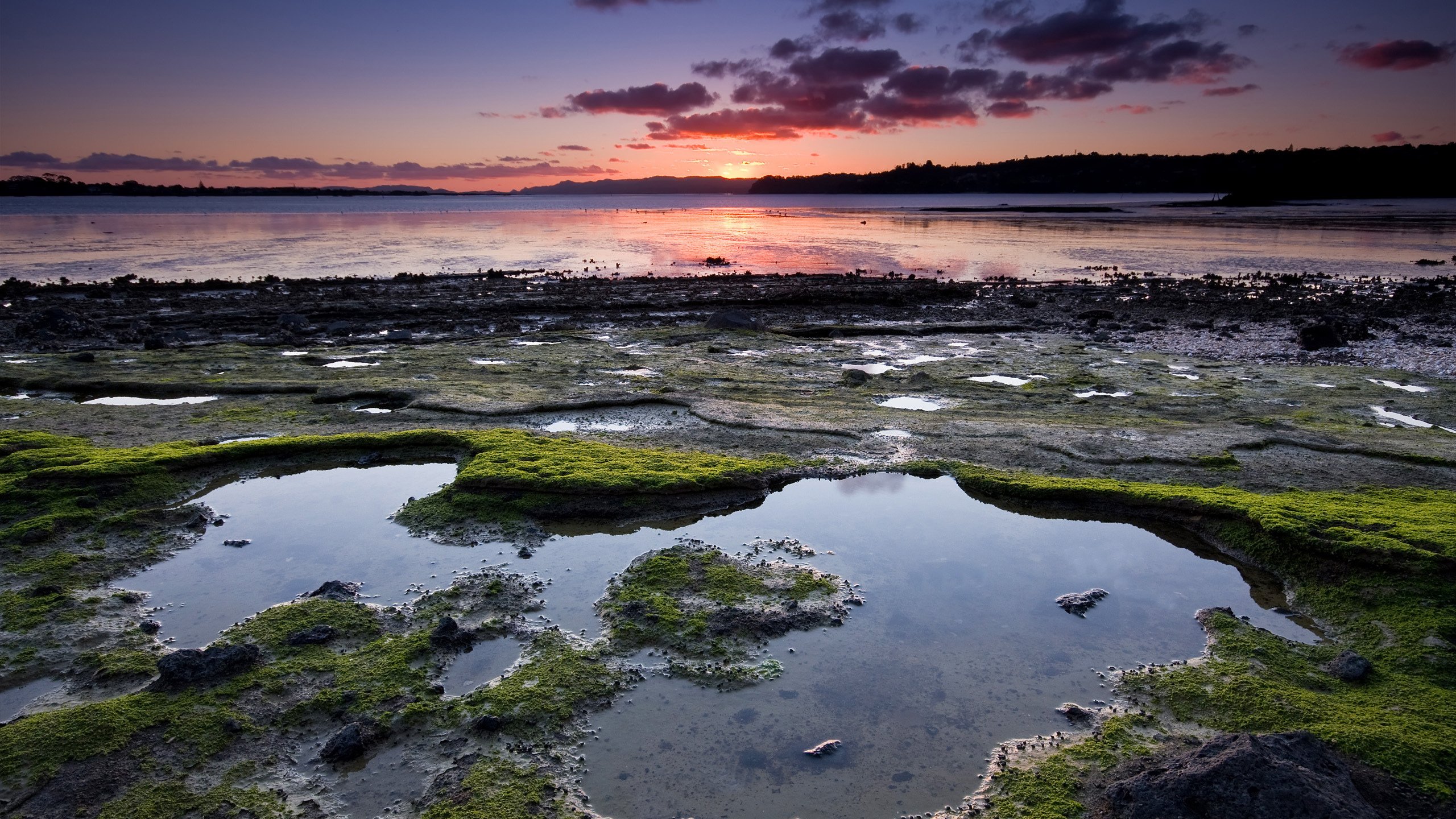 Обои озеро, берег, закат, lake, shore, sunset разрешение 2560x1600 Загрузить