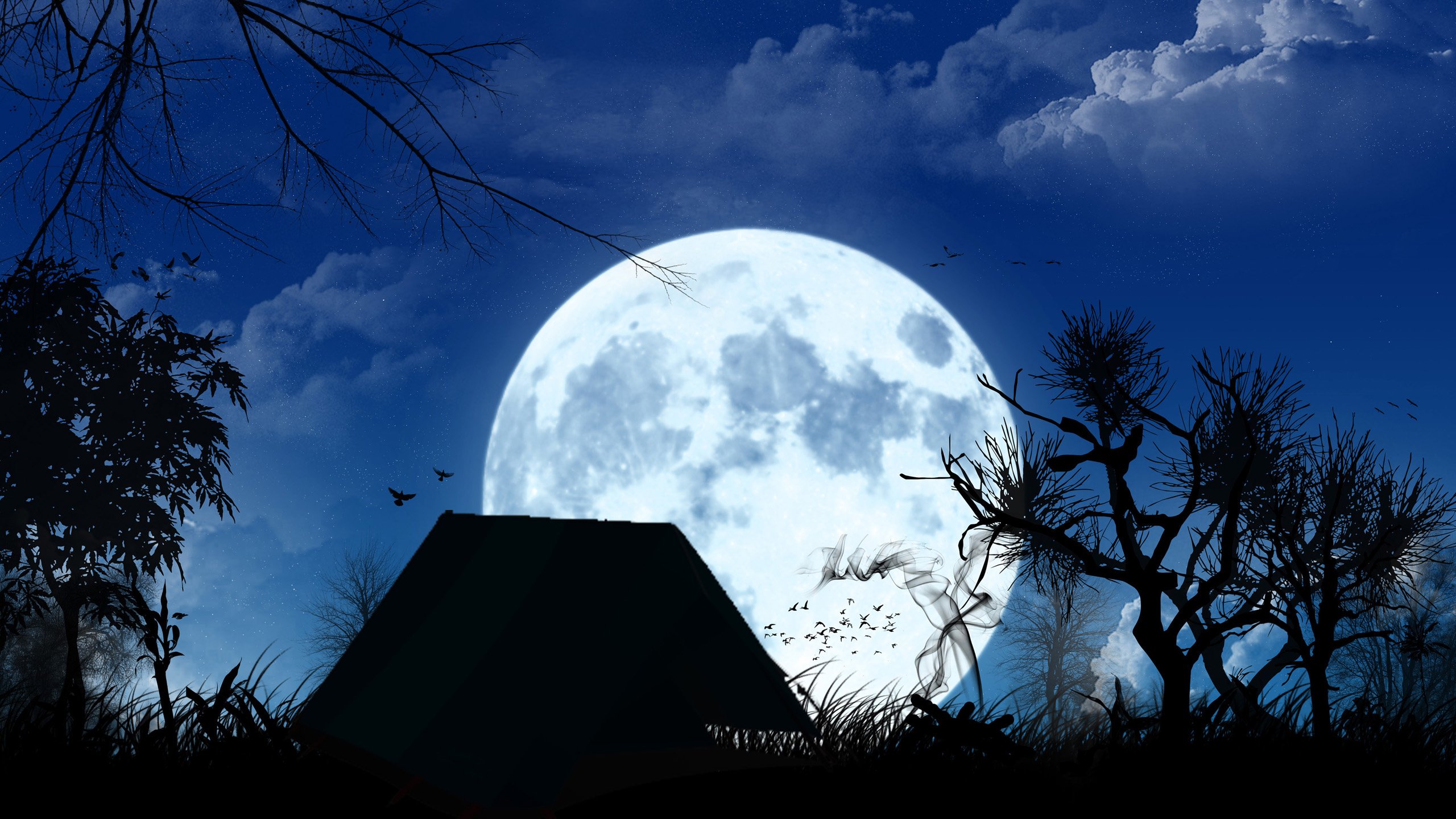 Обои полнолуние, изба, the full moon, hut разрешение 2560x1600 Загрузить