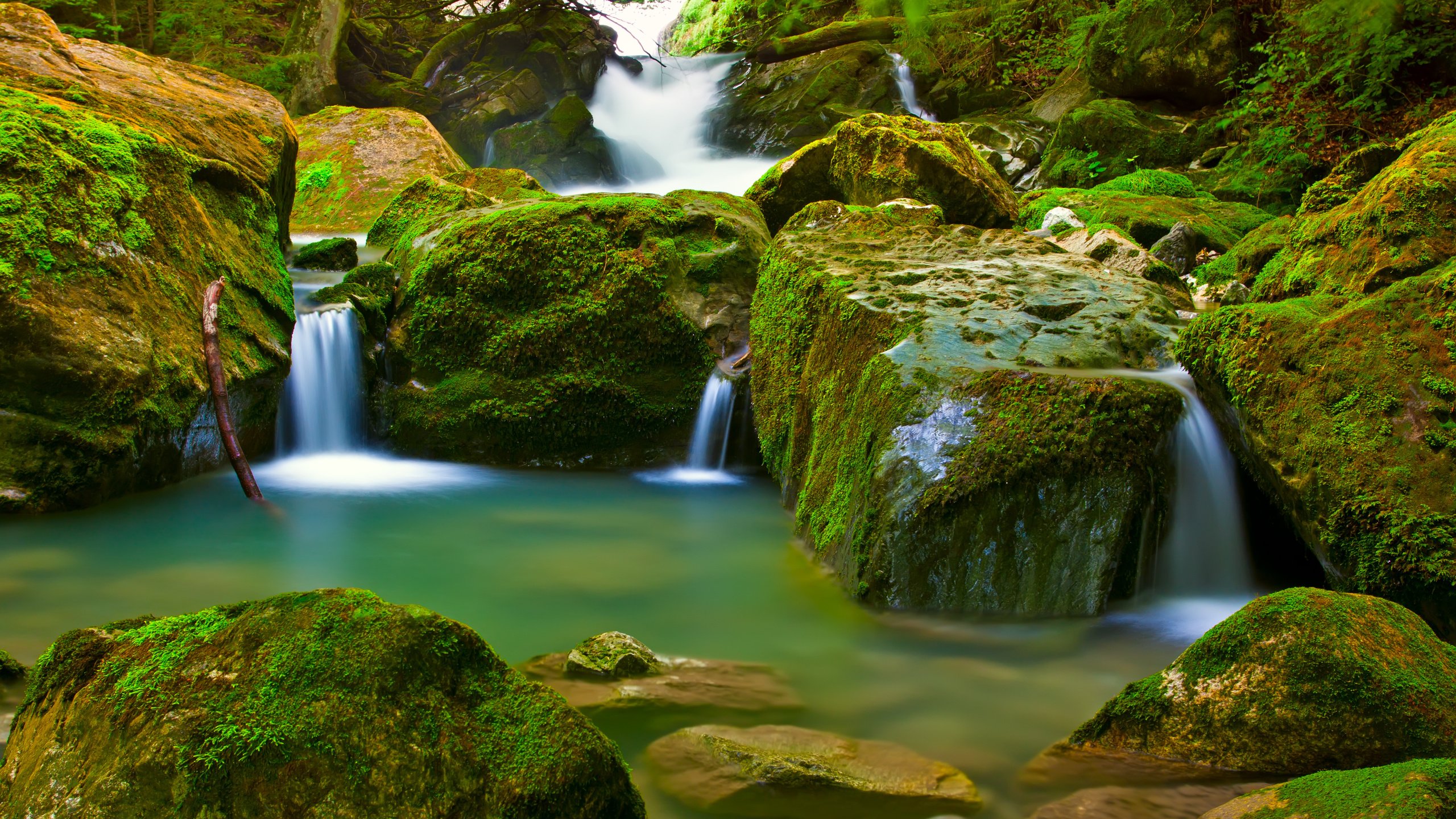 Обои лес, водопад, мох, forest, waterfall, moss разрешение 4752x3168 Загрузить