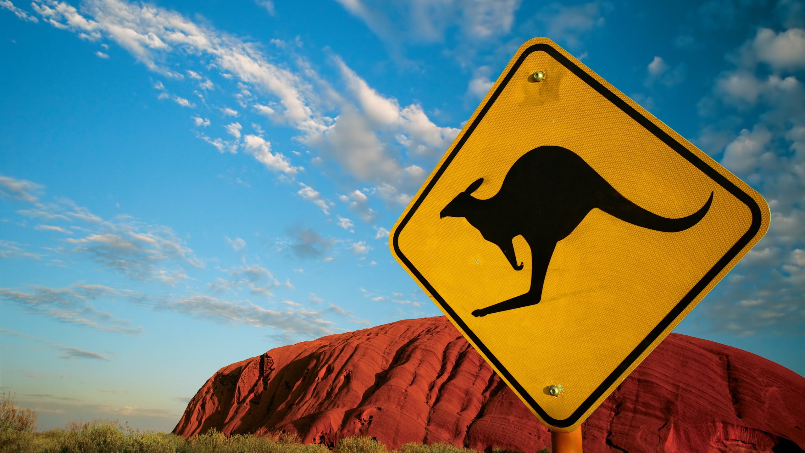 Обои пустыня, гора, австралия, знак, кенгуру, дорожный знак, desert, mountain, australia, sign, kangaroo, road sign разрешение 2560x1600 Загрузить