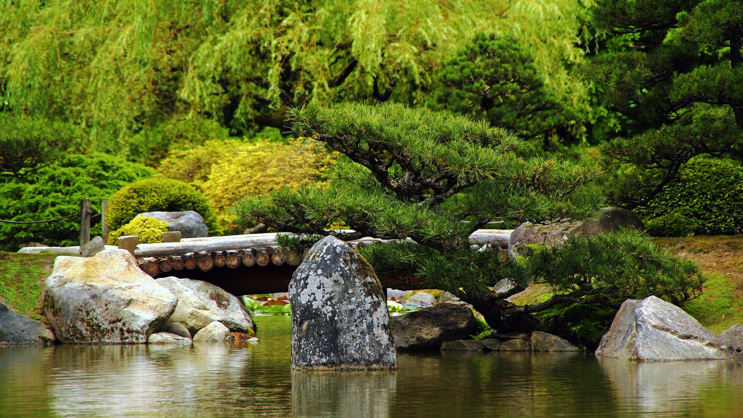 Обои деревья, мост, япония, камень, японский сад, trees, bridge, japan, stone, japanese garden разрешение 2560x1600 Загрузить