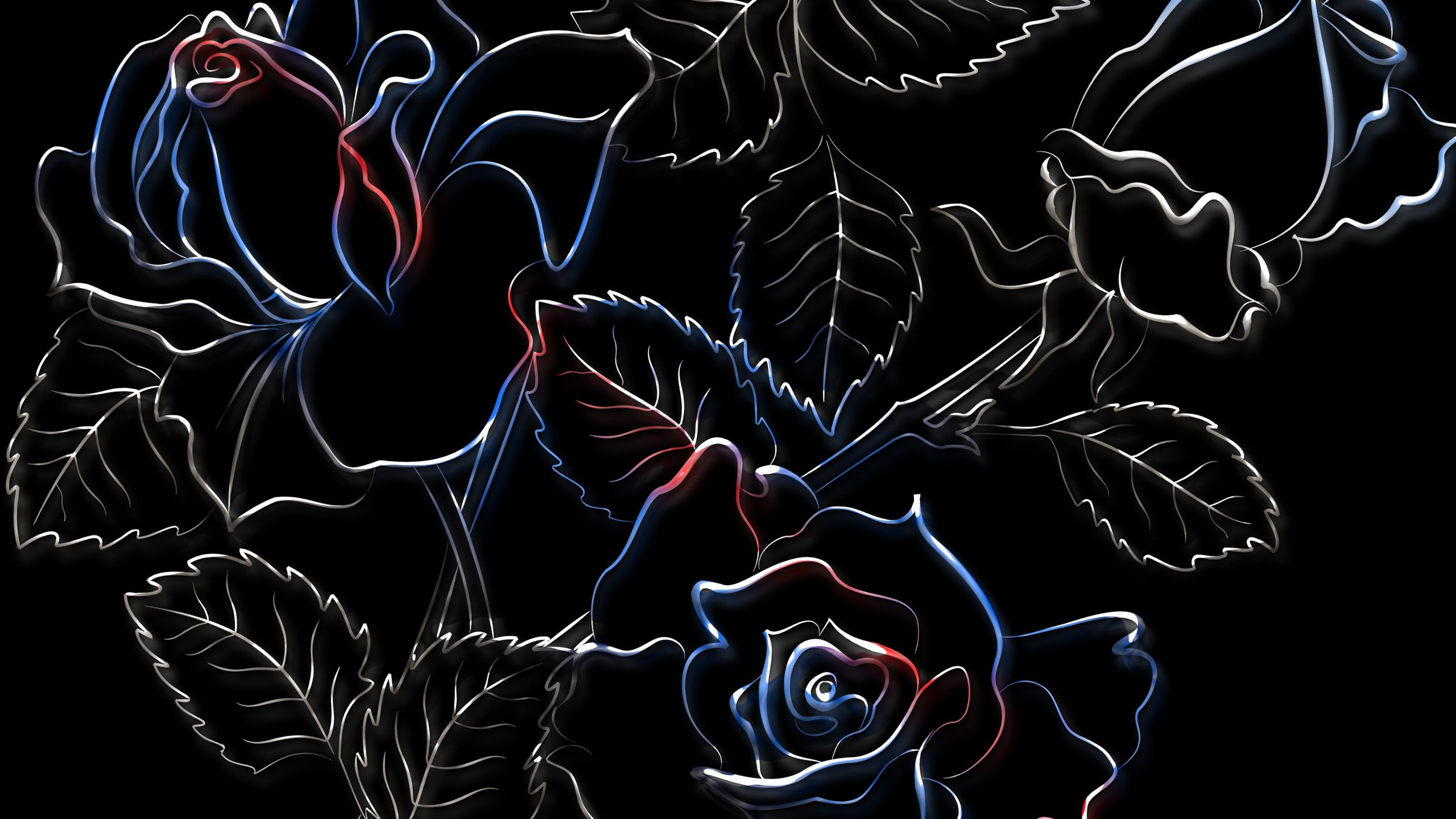 Обои рисунок, розы, черный фон, figure, roses, black background разрешение 2560x1600 Загрузить